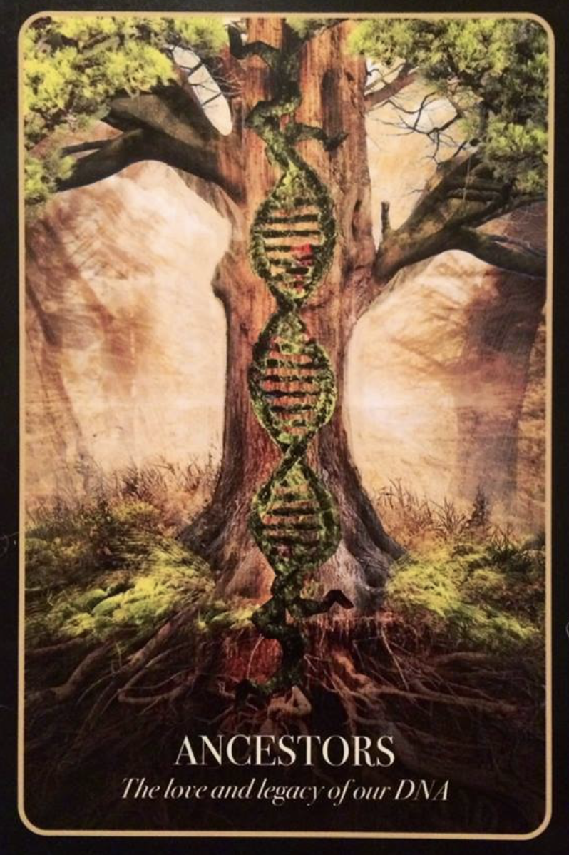 170) Hallowe'en, Ancestors, and War:  One small way you can take action