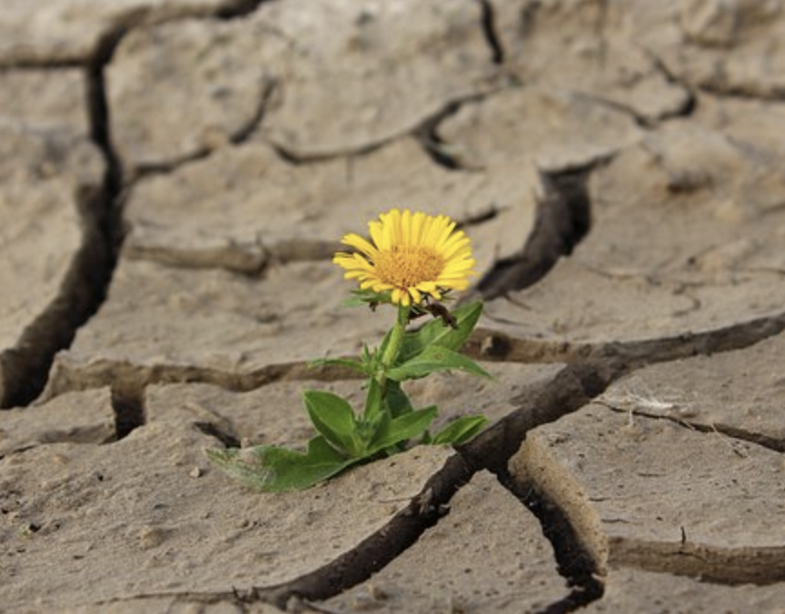 137) Wow…weird. I healed:&nbsp; Part 1:  The struggle and the miracle