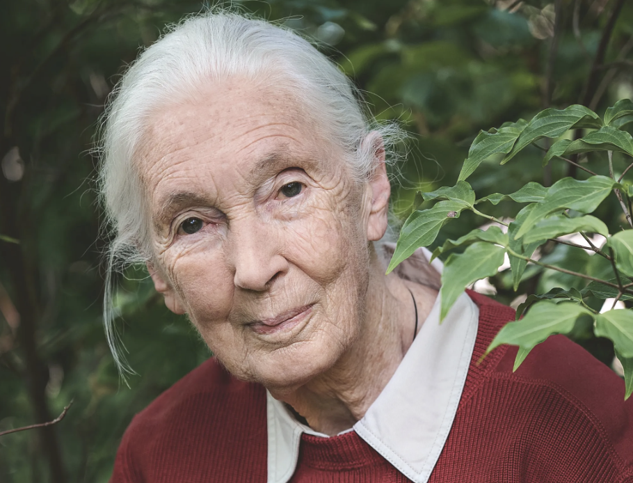 85) Jordan Peterson, Part 6:  The myth of "the myth of white/male privilege" - Subsection 2:  Flat-Earthers, Climate change deniers, and Jordan Peterson on the Patriarchy