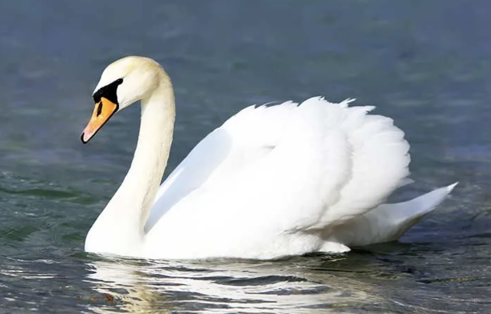 72) Purpose -- Part 4 -- In Between