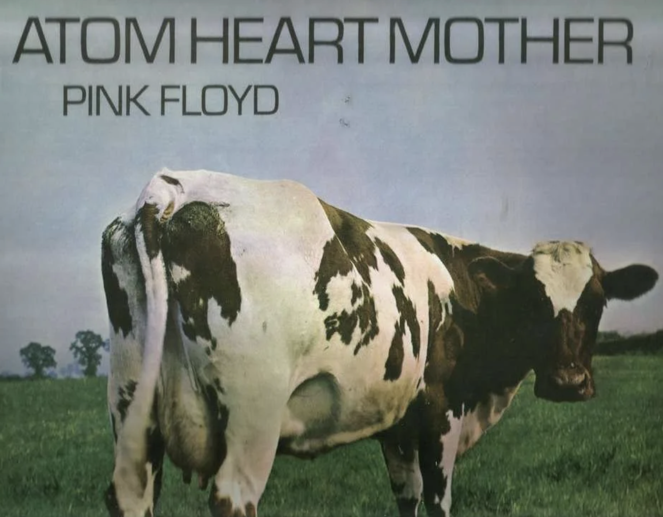 42)  Afterbirth in a field:  The answer to the question of life, the universe, and everything...