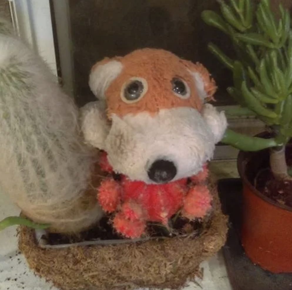 20) Gratitude:  Day 1 — Slider