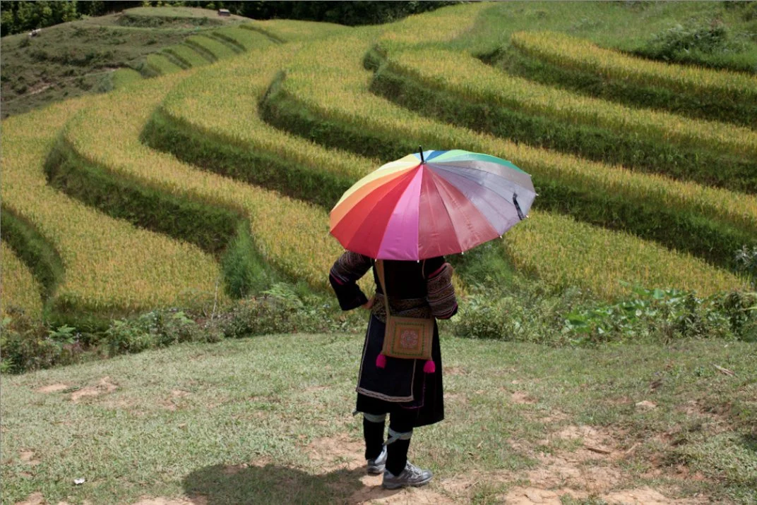 Person holding a rainbow umbrella standing on grass, overlooking the terraced fields of Sapa, Vietnam.