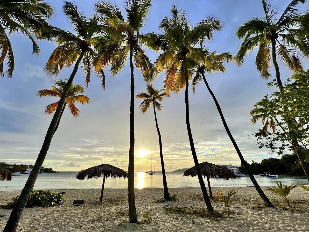 A tropical beach on Water Island, USVI with several tall palm trees, thatched umbrellas, and boats on calm water at sunset