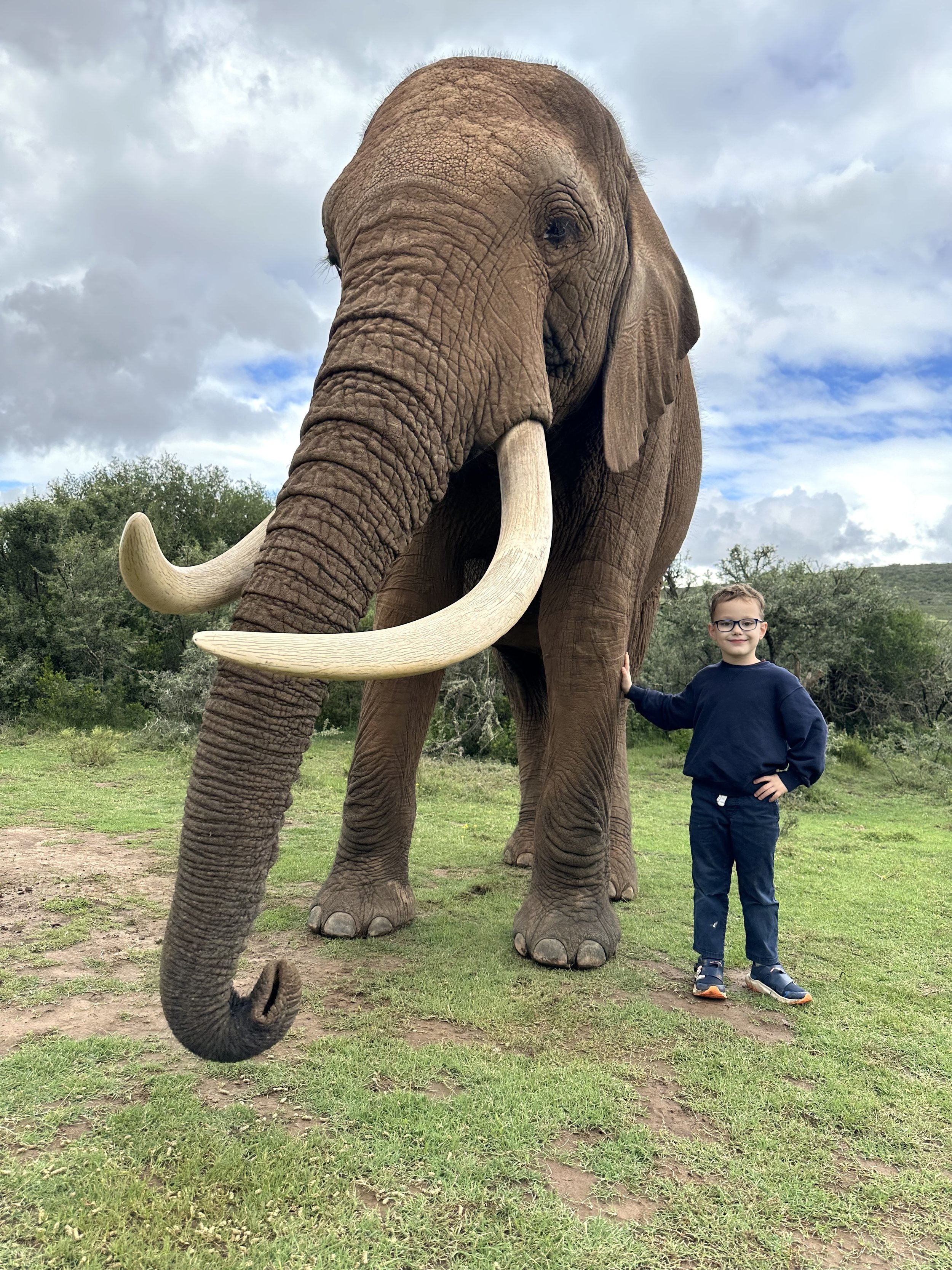 A young boy standing next to a large elephant outdoors on a grassy field with trees and cloudy sky in the background.