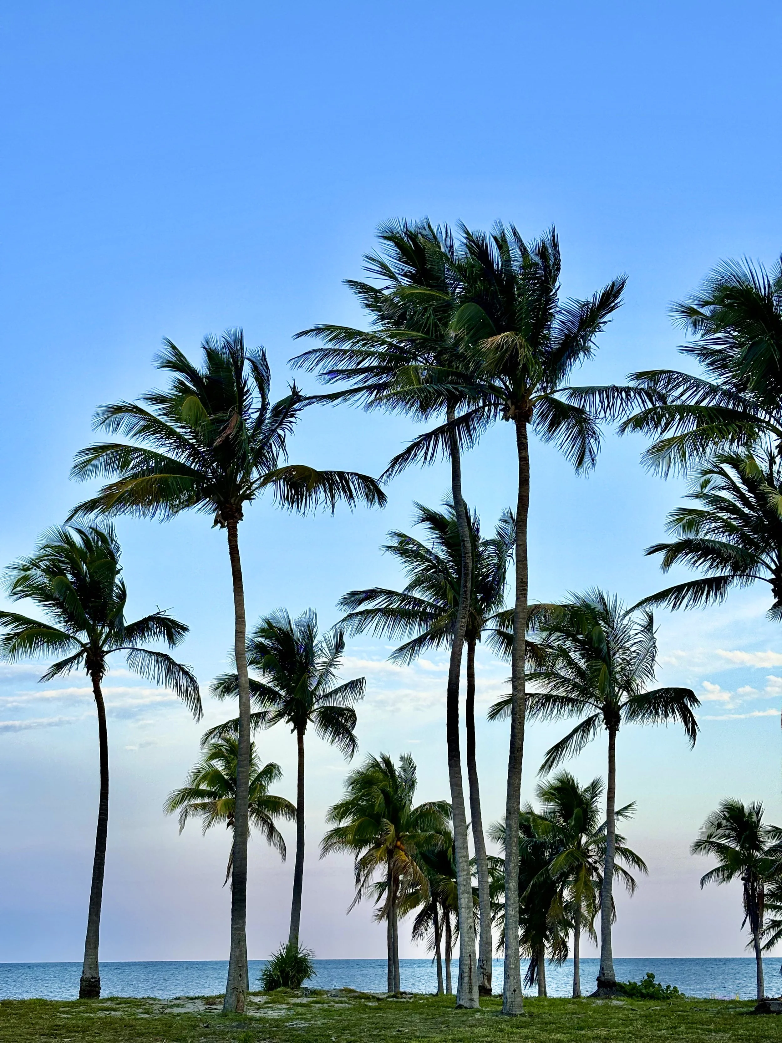 Central Florida coast