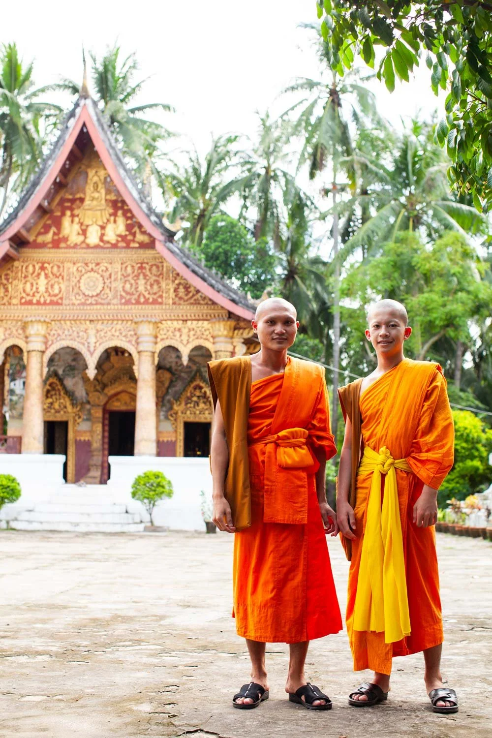 Two Buddhist monks in orange robes standing outdoors in front of a temple, surrounded by lush green trees.
