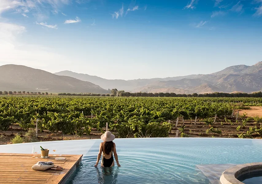 A woman in a swimsuit and sunhat wading in a pool overlooking a vineyard with mountains in the background.