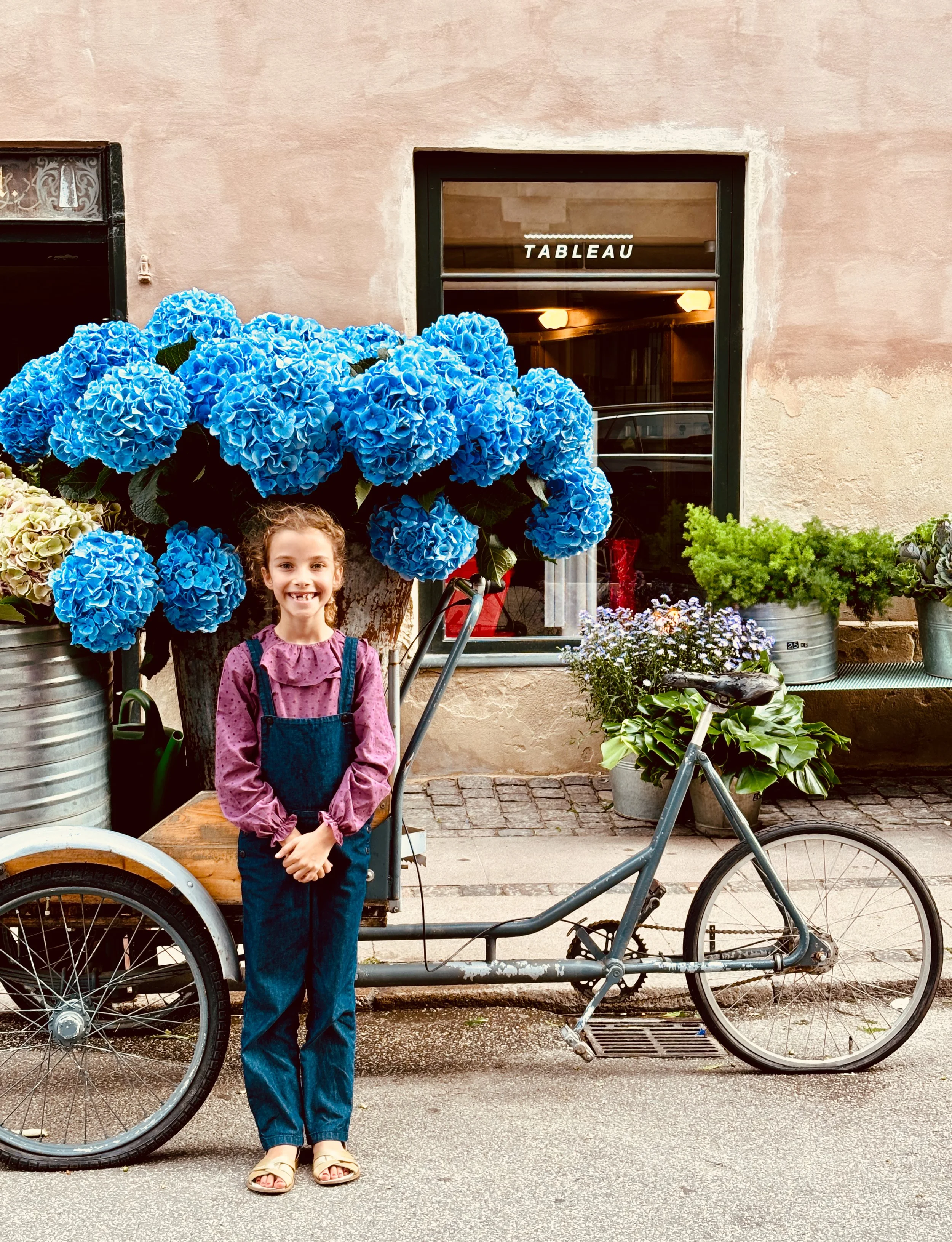 A young girl smiling in front of a flower cart filled with large blue hydrangeas, with a bicycle attached to the cart. In the background is a store window with the name 'Tableau'.