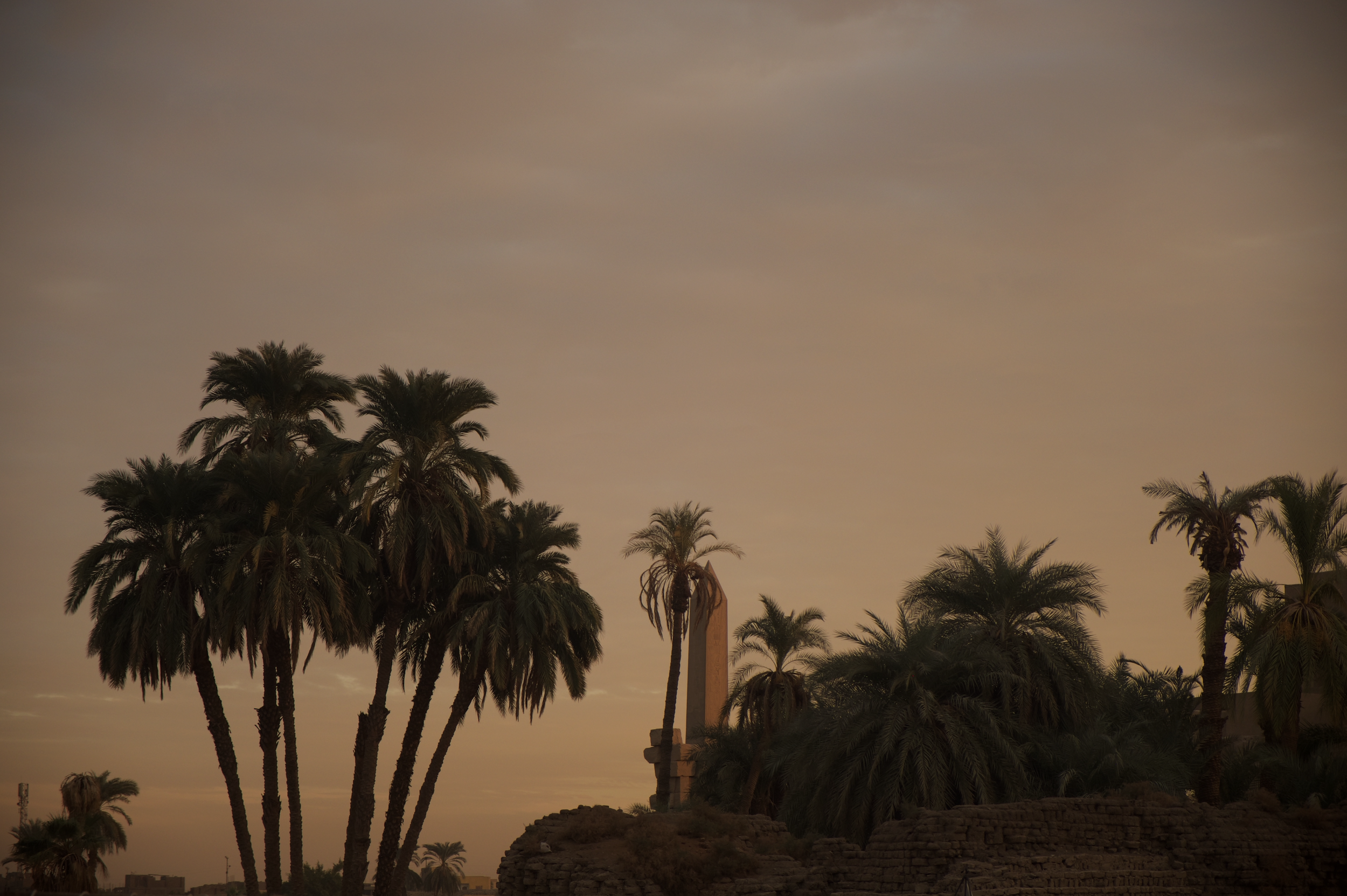 alm trees and a stone obelisk silhouetted against a warm amber dusk sky, Luxor, Egypt — ALTEZA Journal