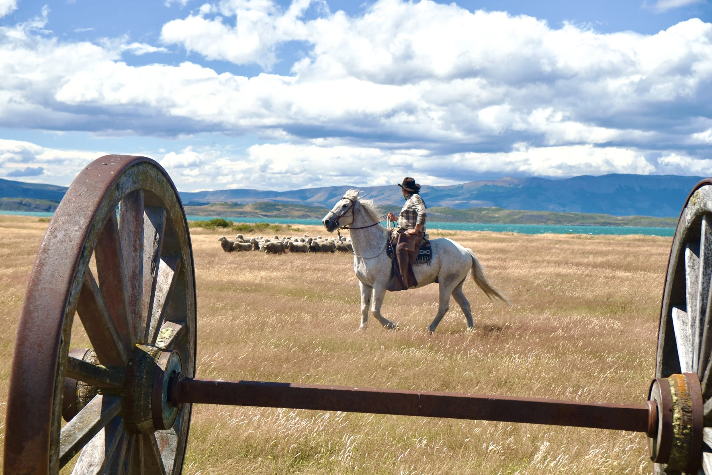 A gaucho on a white horse herding sheep across golden Patagonian steppe, framed through antique wooden wagon wheels, with a turquoise lake and mountain range visible behind him under a dramatic cloudy sky.