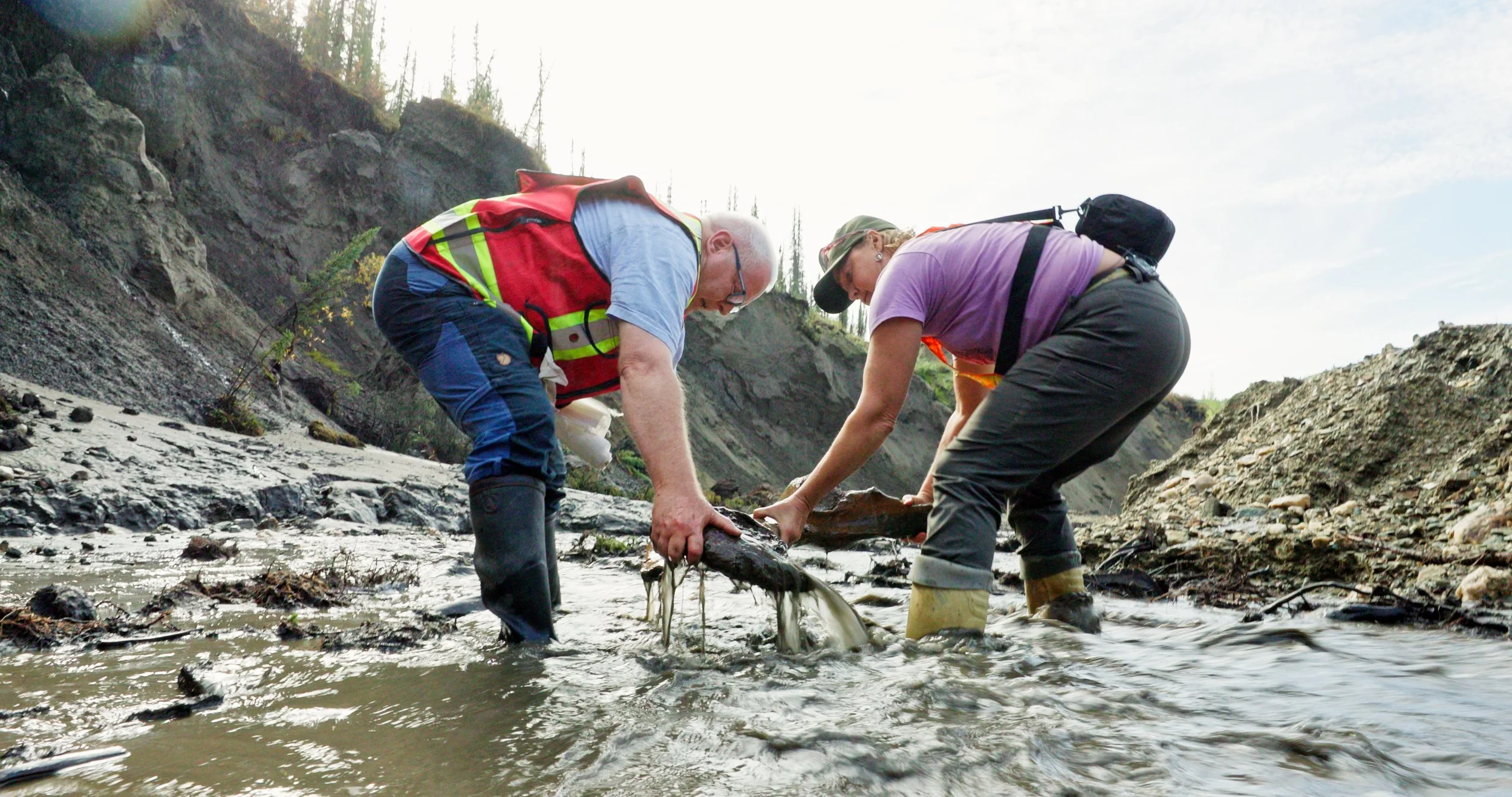 Elizabeth Hall 11.jpg