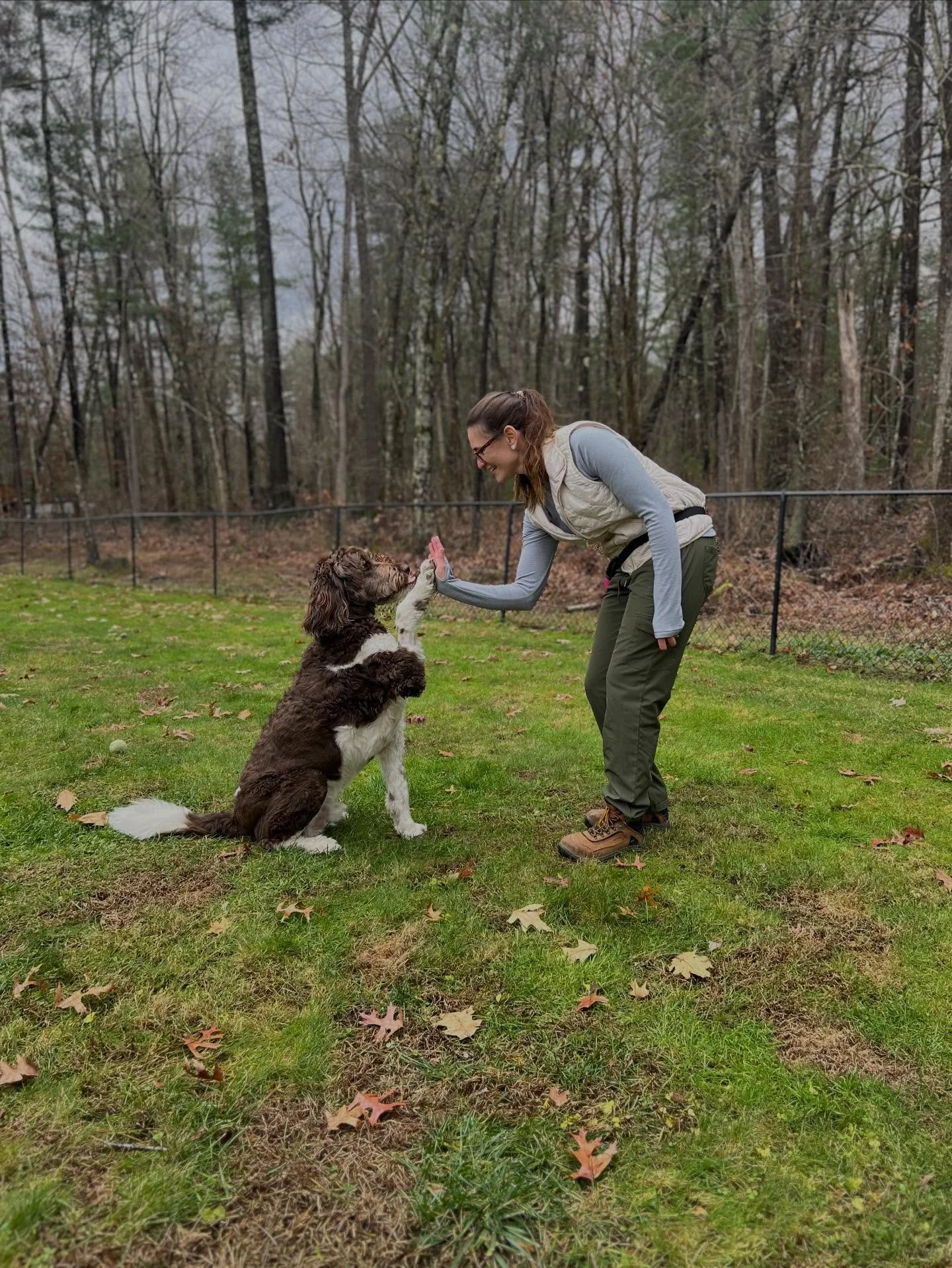 Why train tricks? 

Other than the obvious answer, it&rsquo;s CUTE, training tricks helps build confidence! The more your dog knows, the better they feel. A confident dog is more likely to be curious in new situations rather than fearful, and tricks 