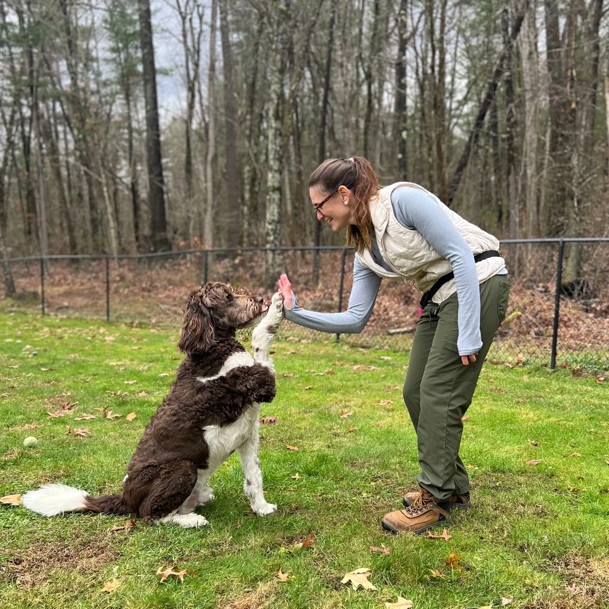 Cassie and a dog high-fiving
