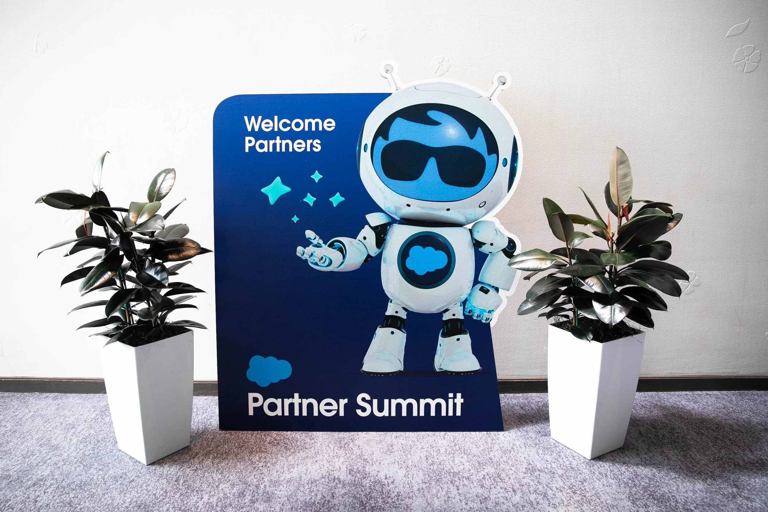Partner Summit Series