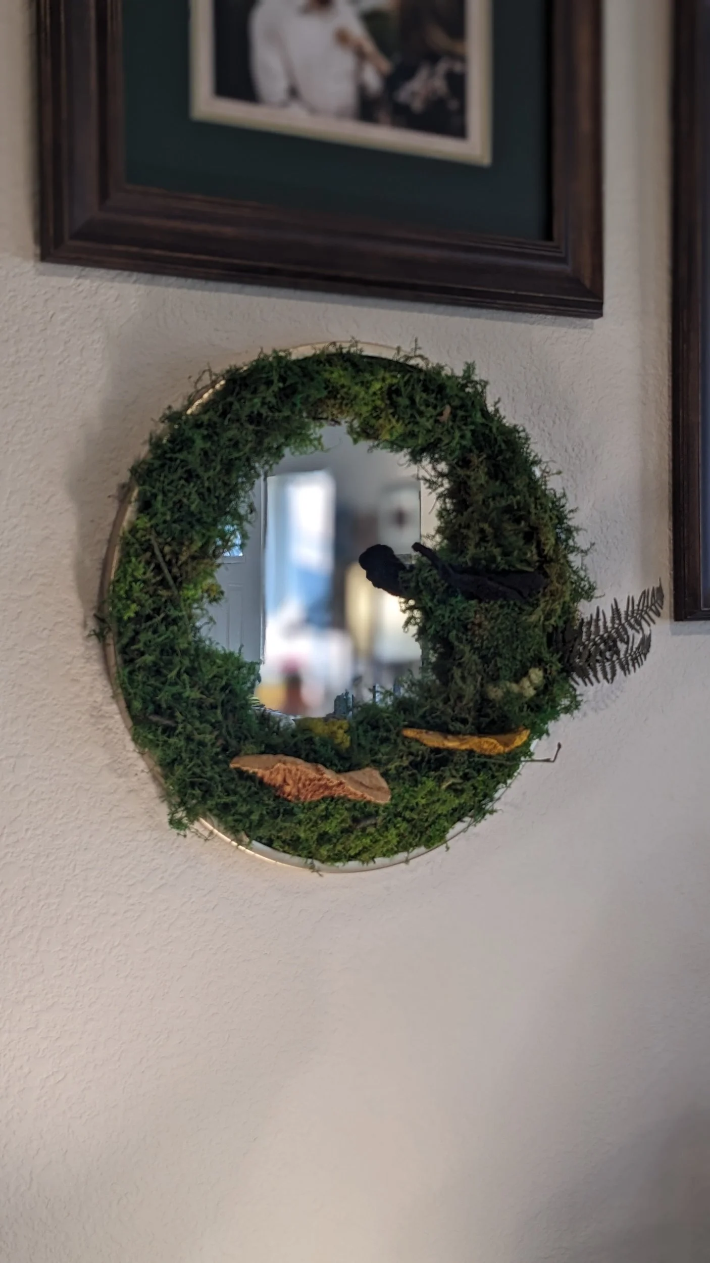 whimsy moss mirror triple mushrooms and ferns golden framed mirror