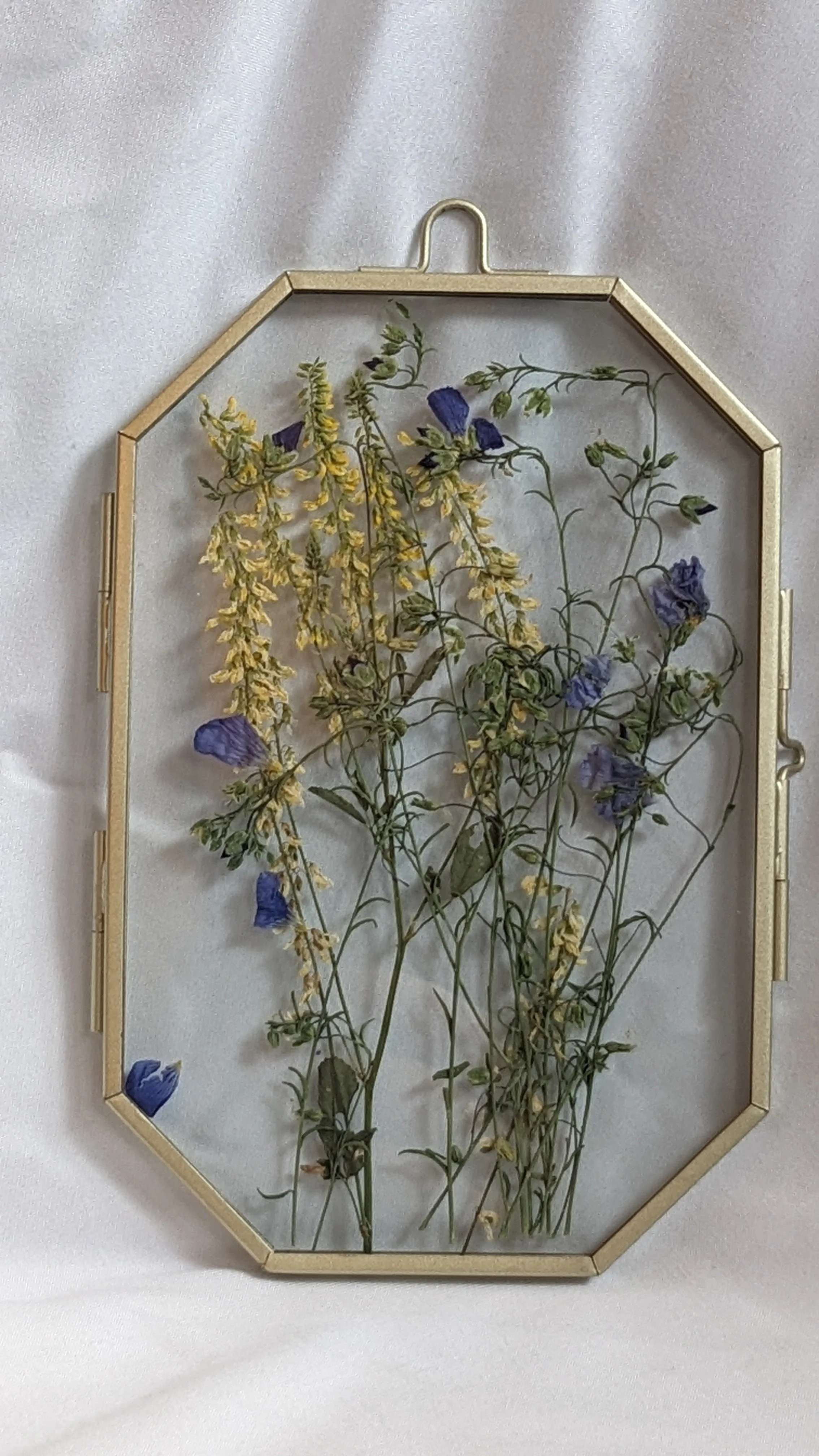 Wild Whimsy Pressed Flowers - Yellow