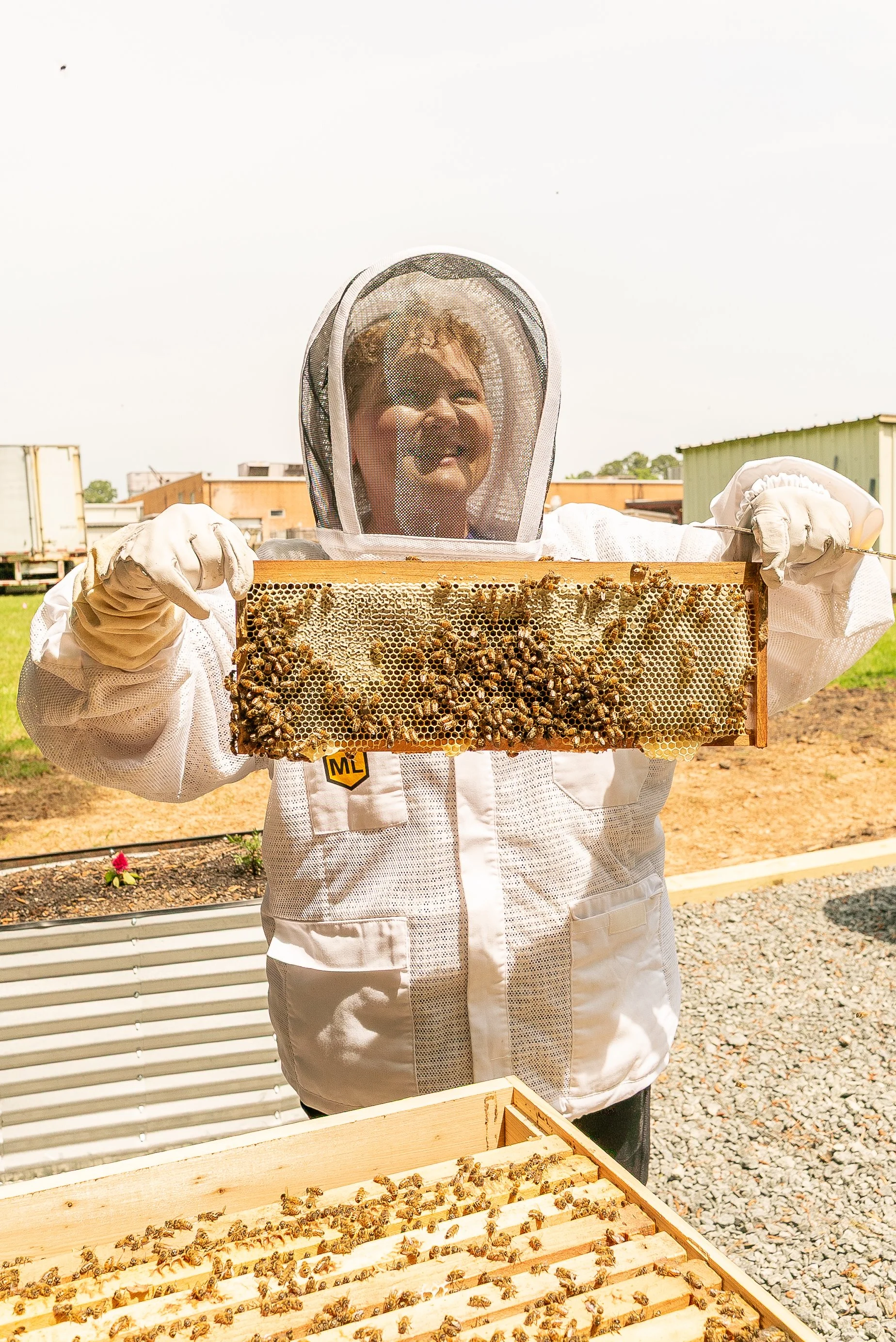 Buddha Bee Apiary