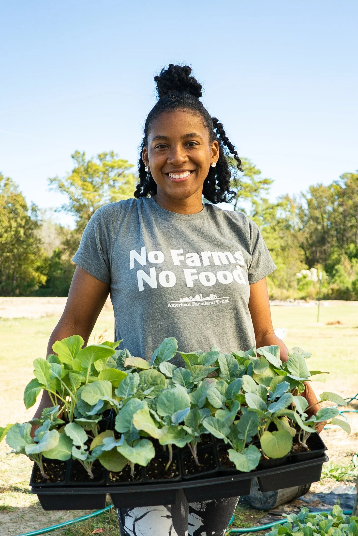 Footprints In The Garden