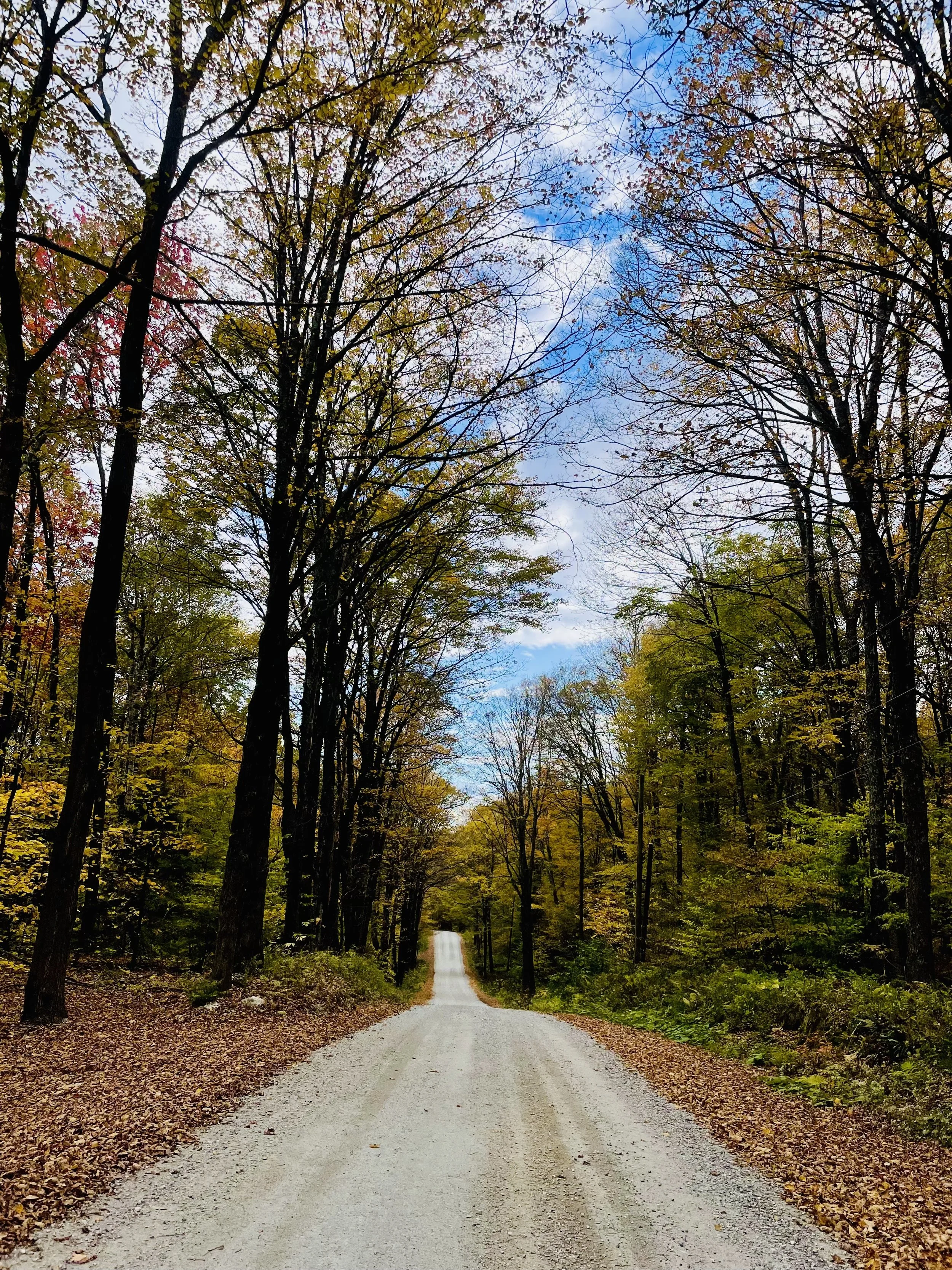A dirt road through a forest with trees displaying fall foliage, under a partly cloudy sky.