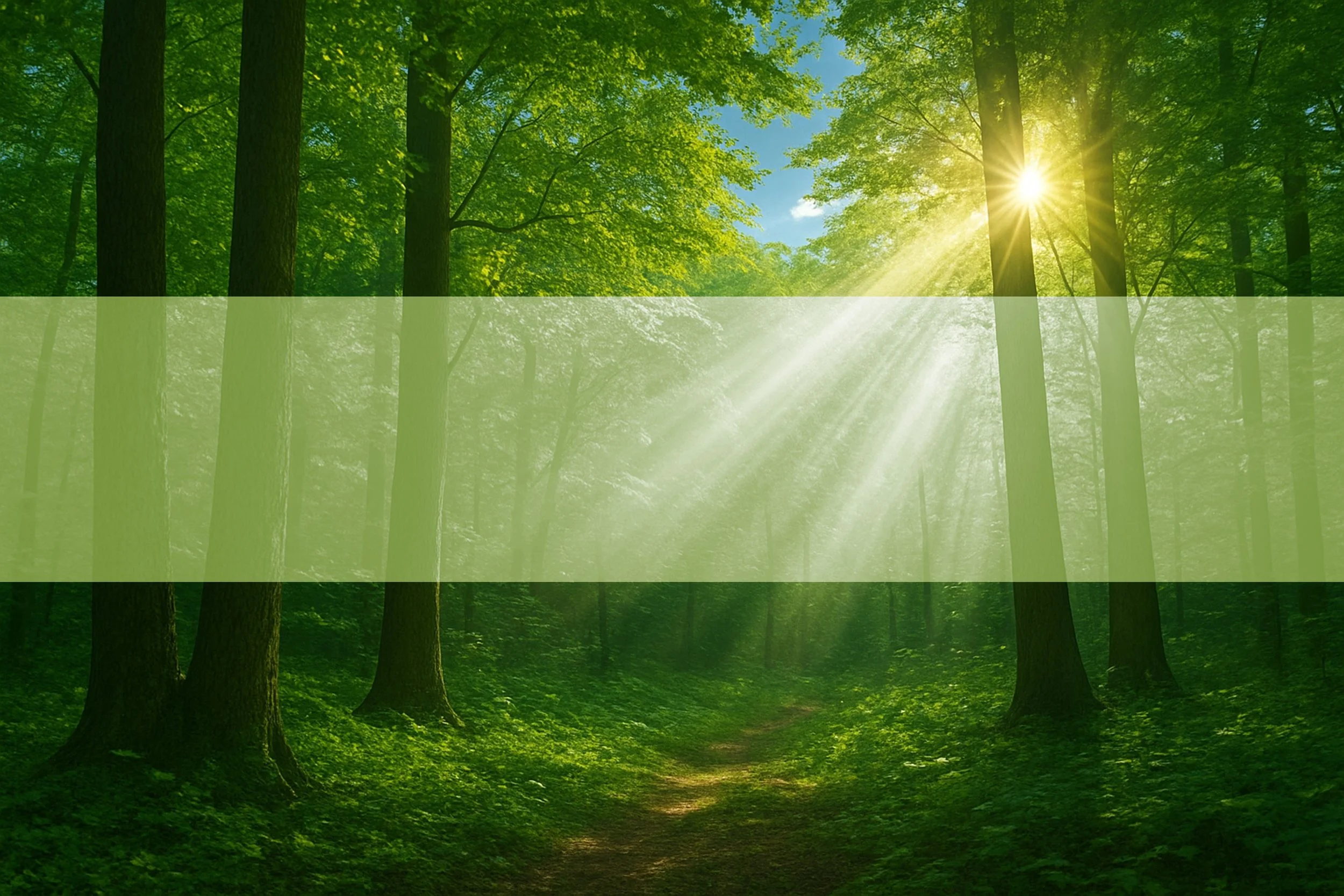 Un bosque con árboles verdes y sol brillando entre las hojas, rayos de luz iluminando el sendero.