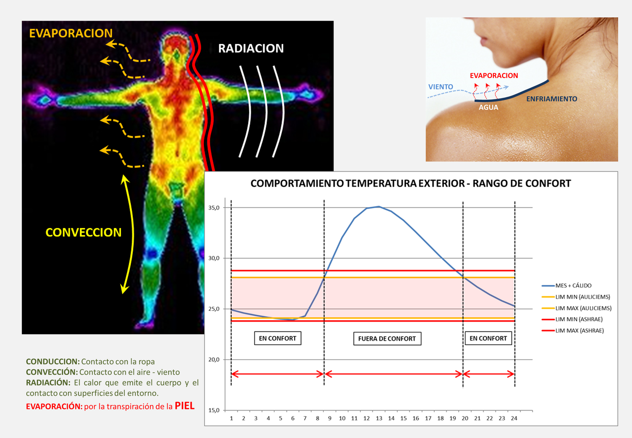 Ilustración que explica la regulación de la temperatura corporal y el confort térmico, mostrando conceptos como conducción, convección, radiación y evaporación en relación con la piel y el clima, con gráficos y diagramas coloridos.