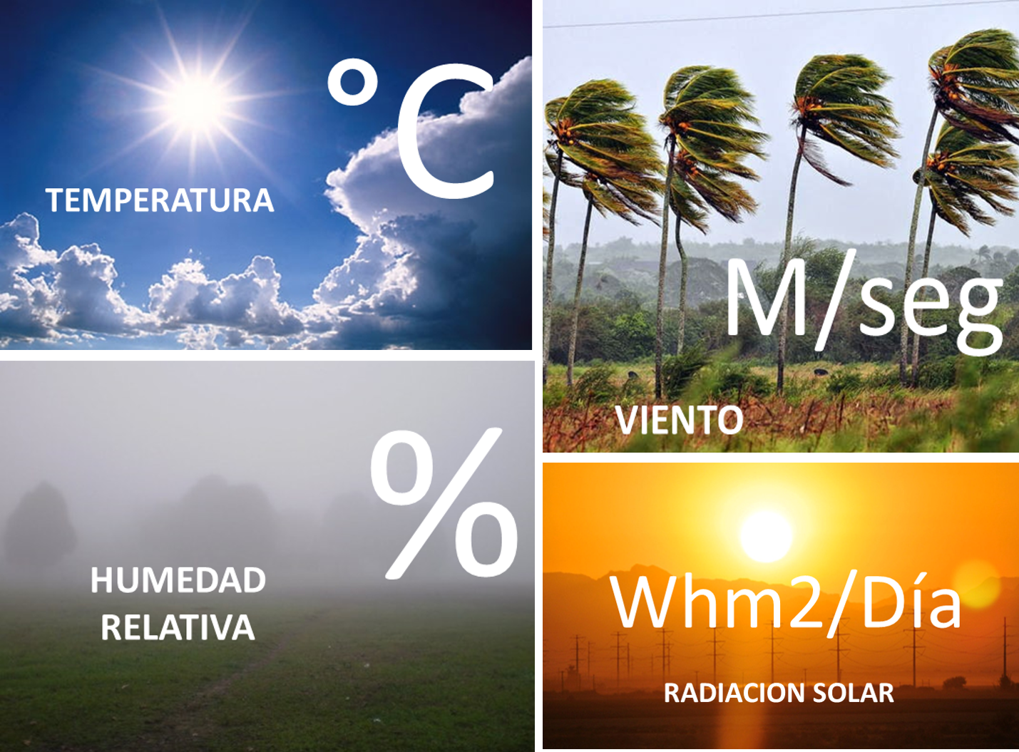 Gráficos de estudio de clima para arquitectura bioclimática
