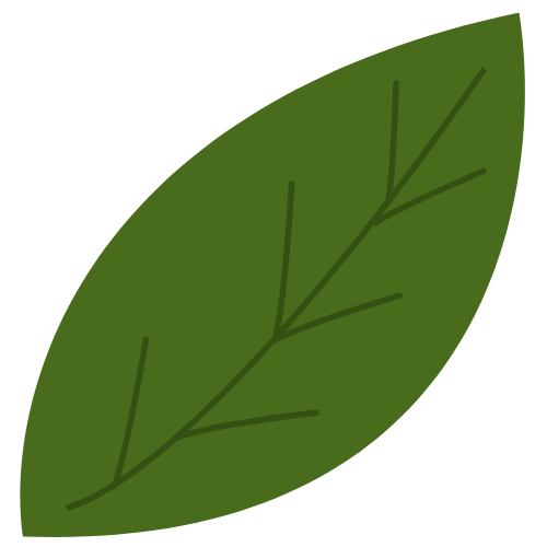 A green leaf with a prominent central vein and smaller veins branching out.
