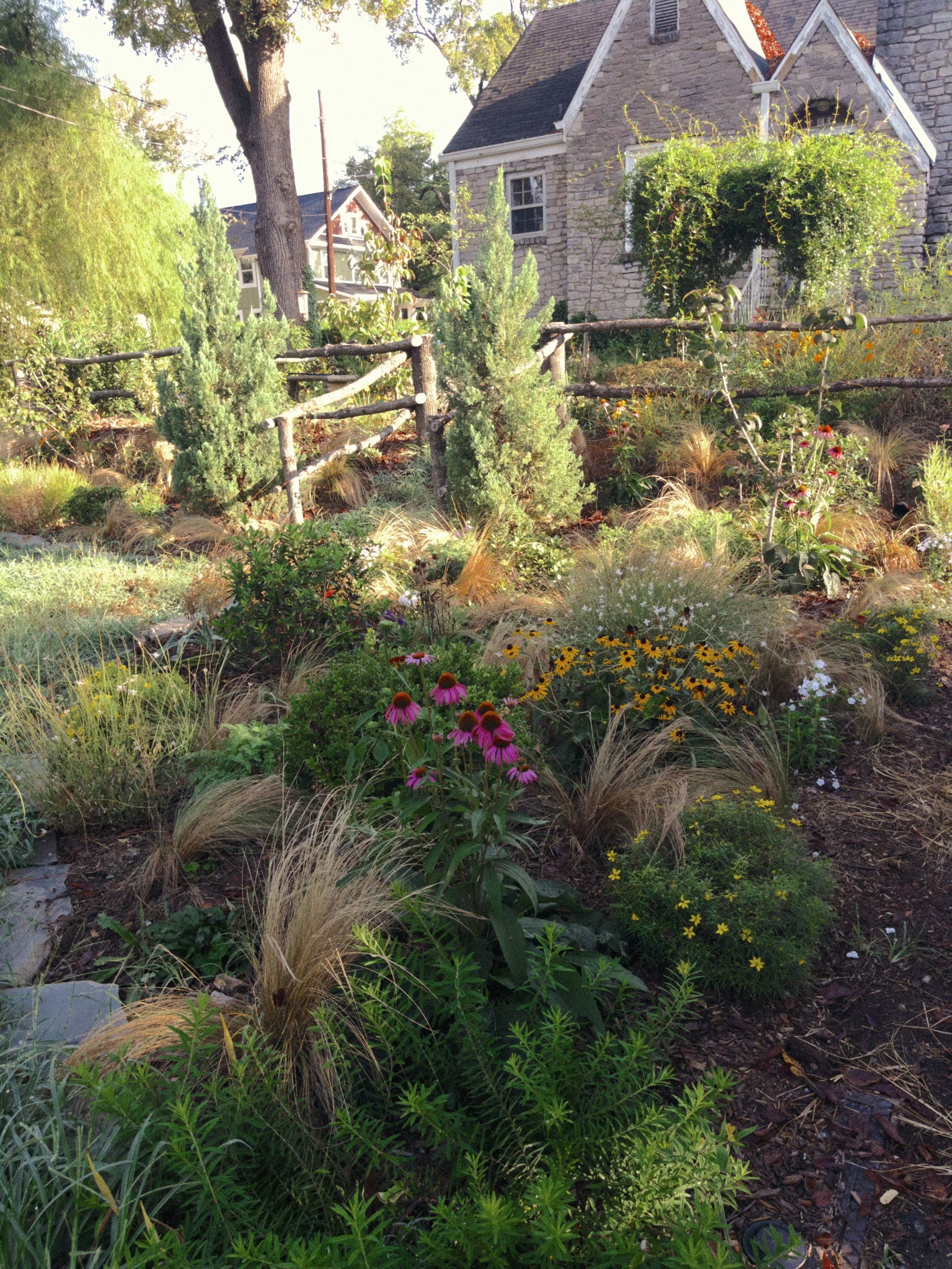 Naturalistic Perennial Gardens in Nashville: Designing Landscapes That Feel At Home