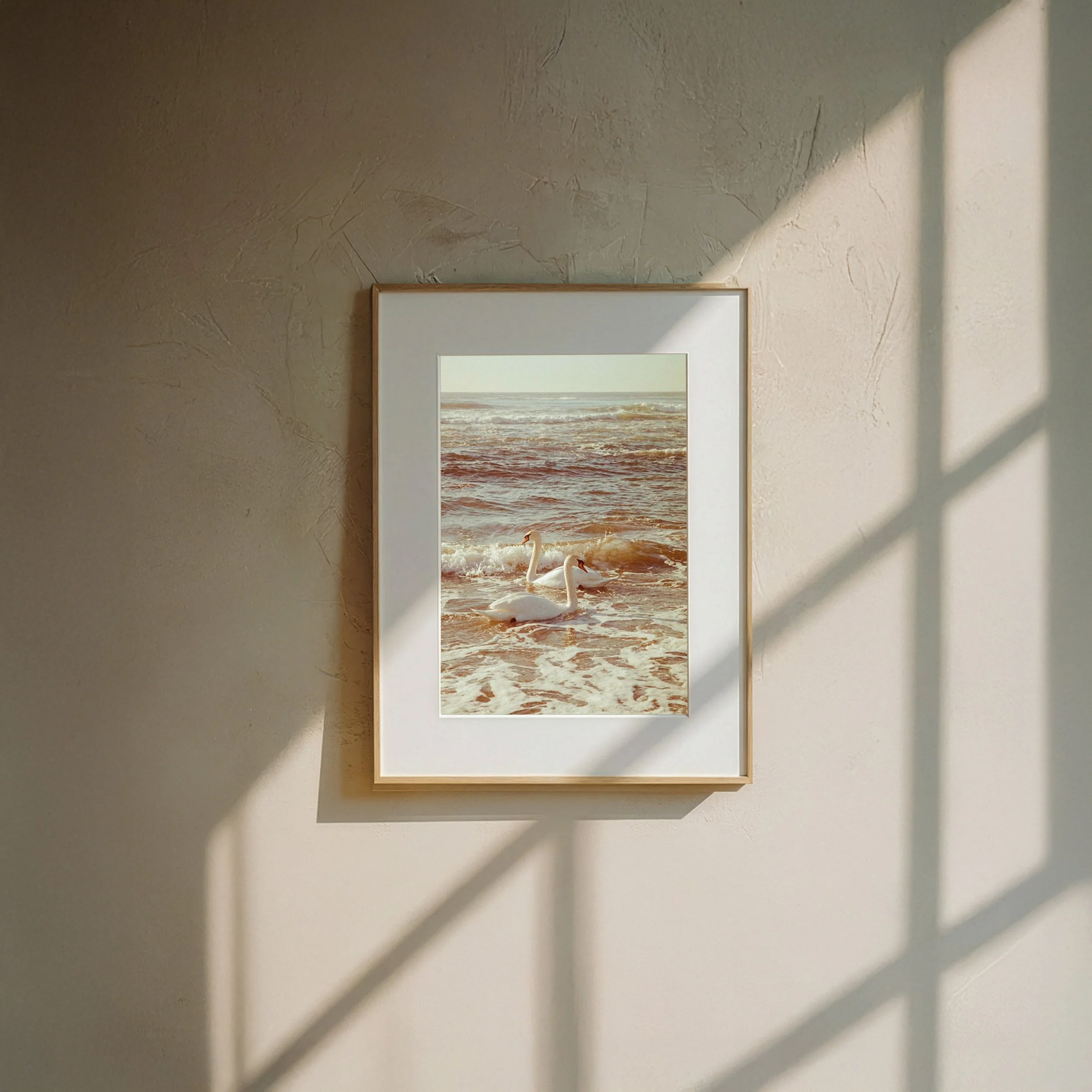 visuals-by-jasmin_swan.jpg