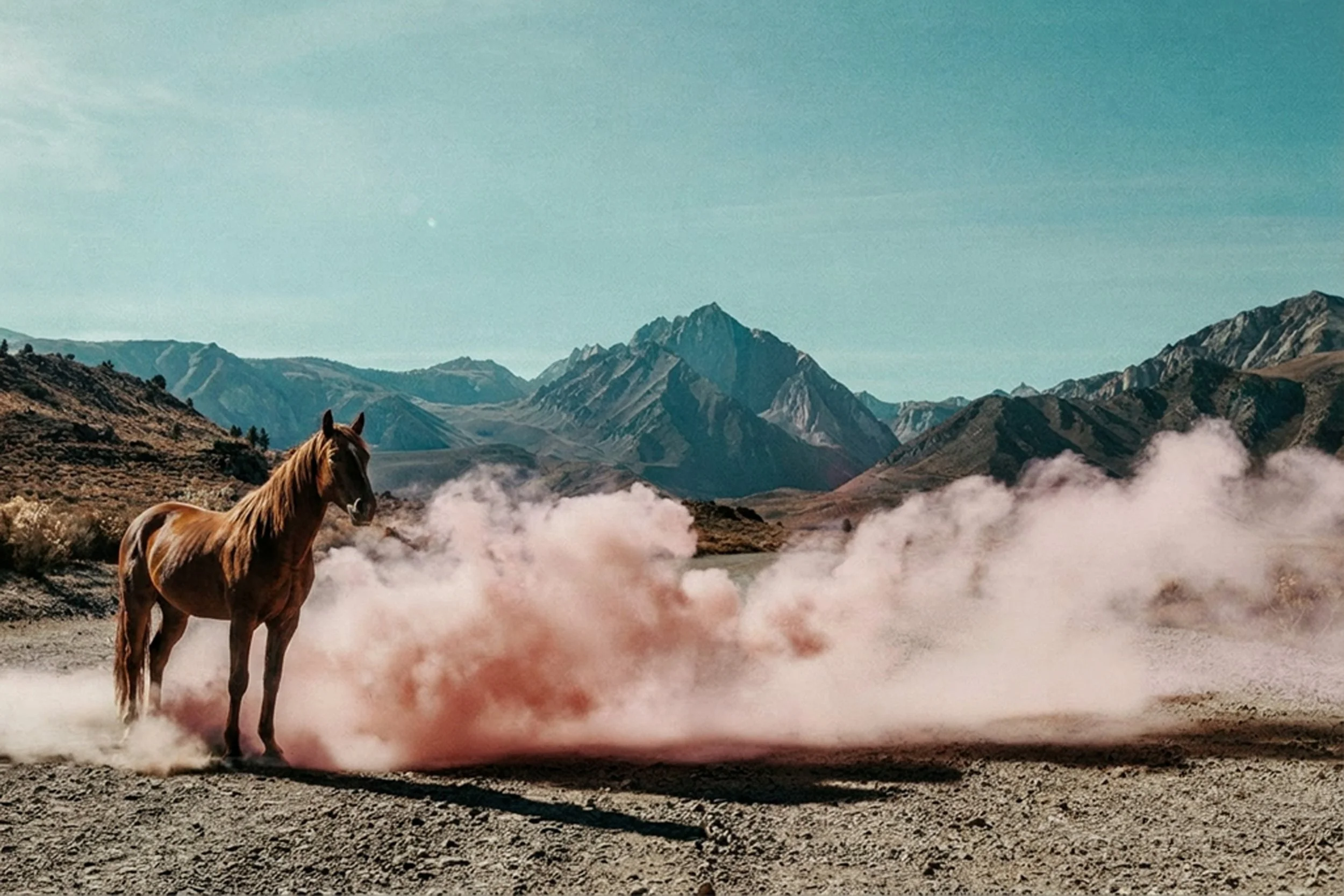 visuals-by-jasmin-wild-horse-sierra-nevada.jpg
