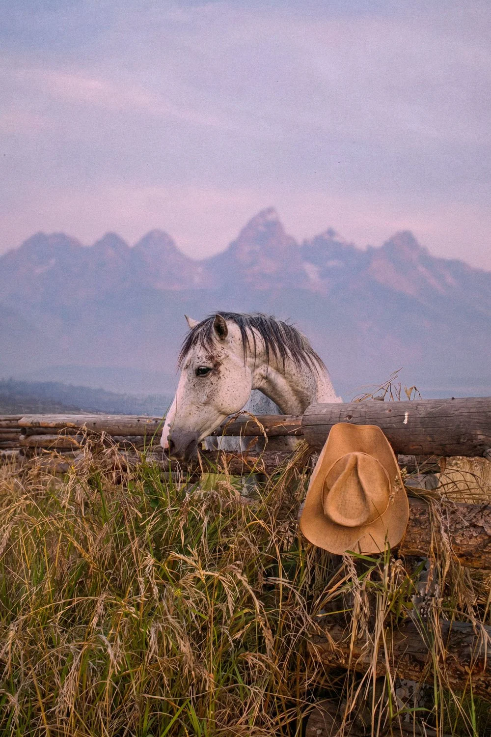 Blush of the West
