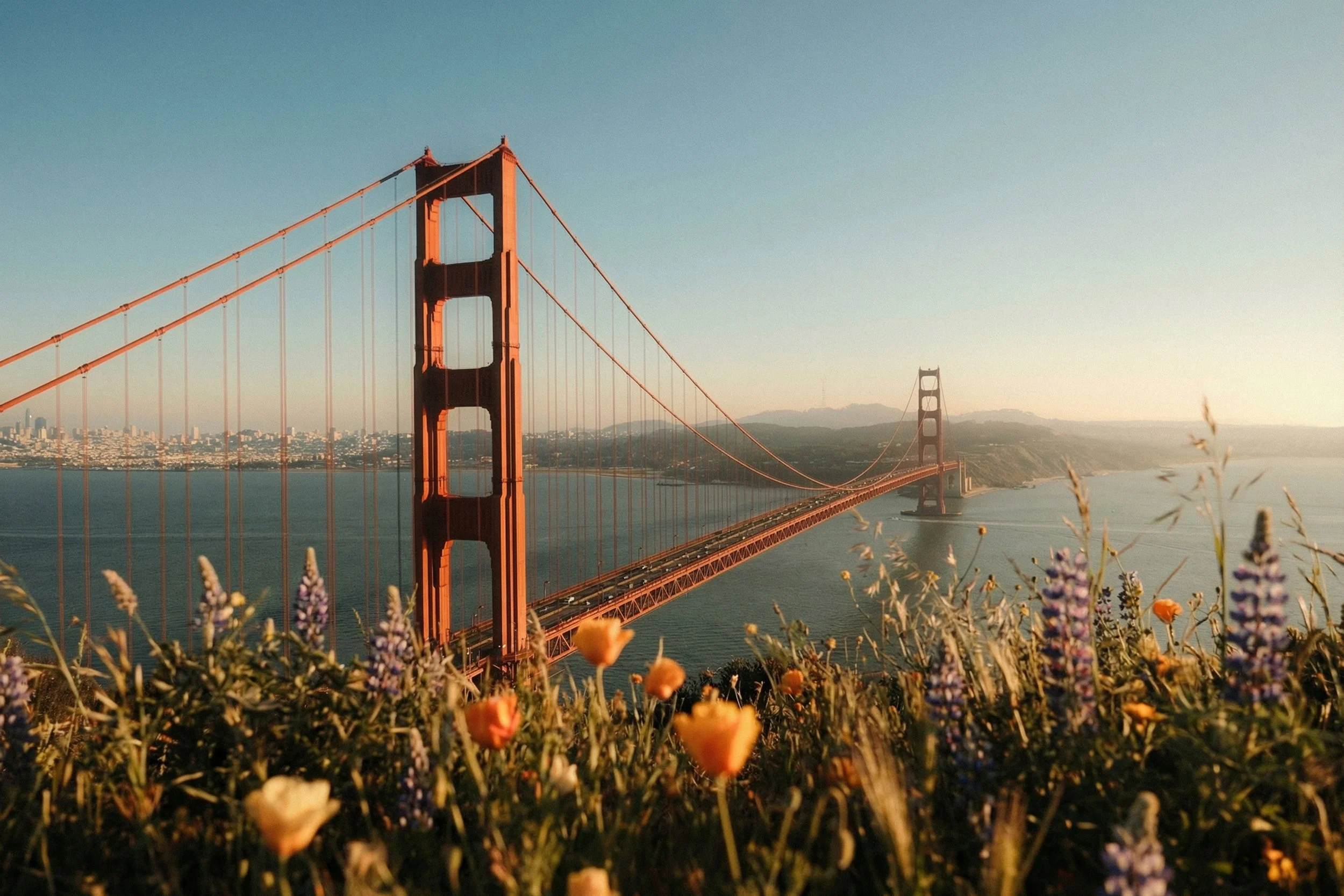 Golden Gate Bride - wild Flowers