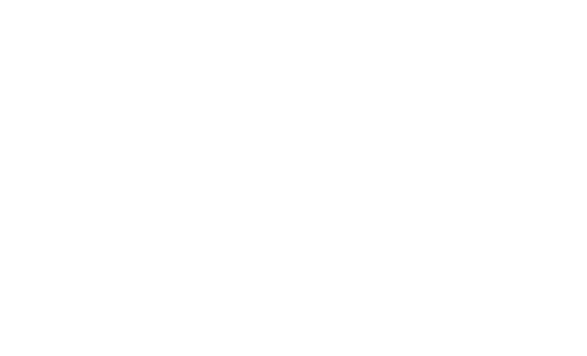 SUREX Consulting