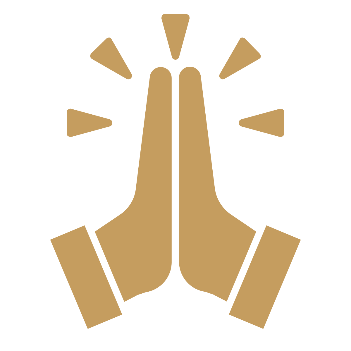 Illustration of two hands pressed together in praying or greeting gesture, with rays emanating from around the hands.