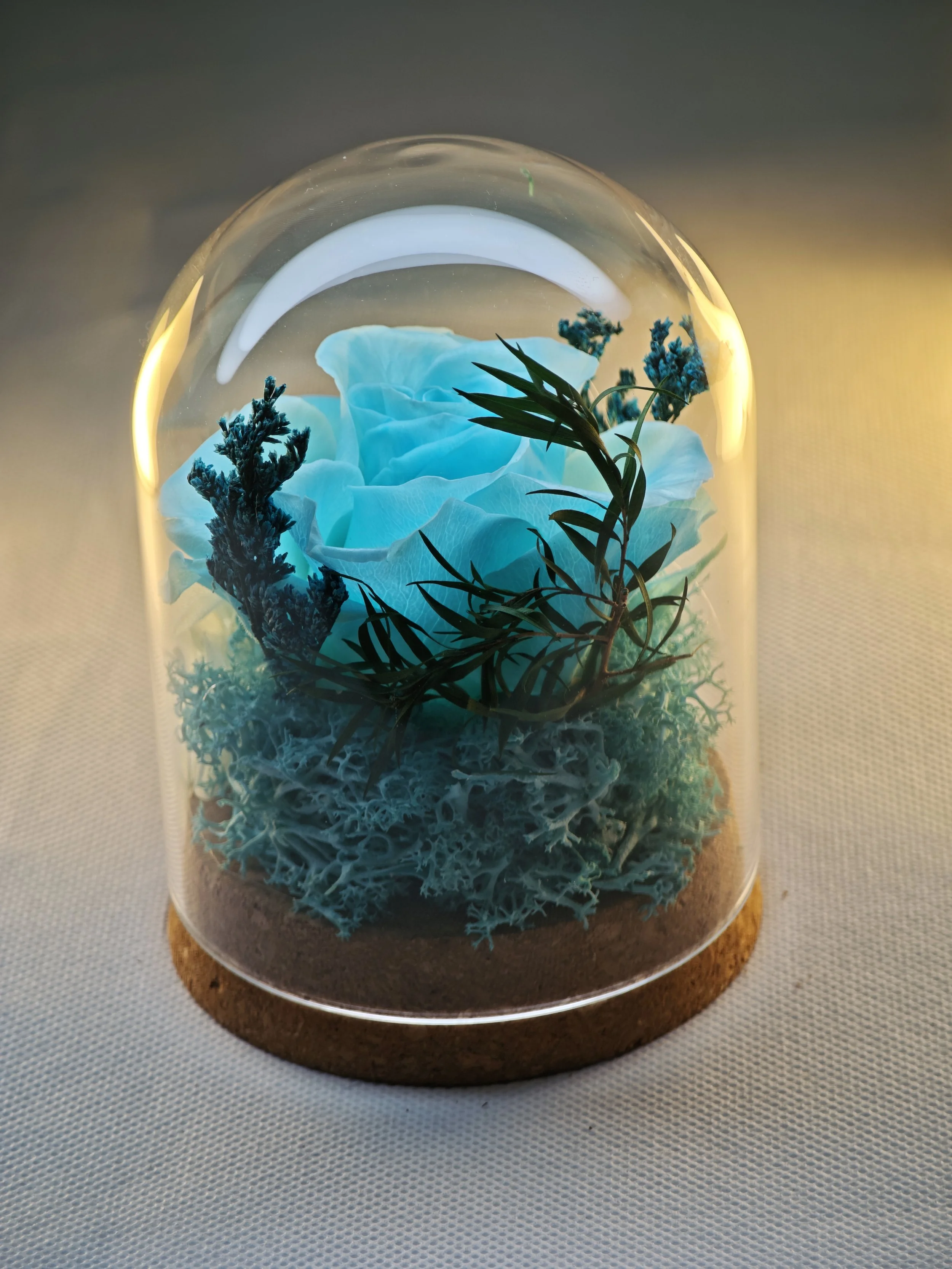 forever rose glass dome preserved flowers (38).jpg