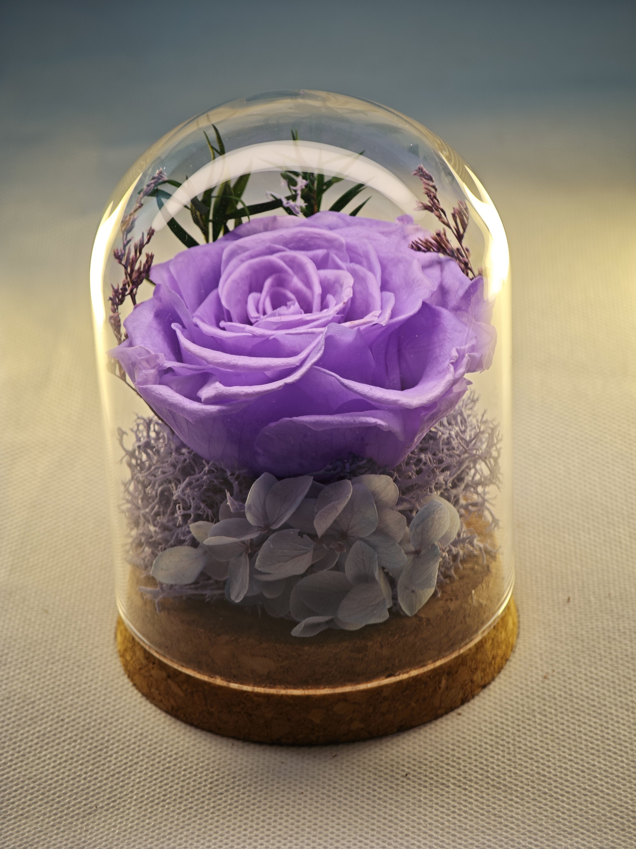 One Love Violet