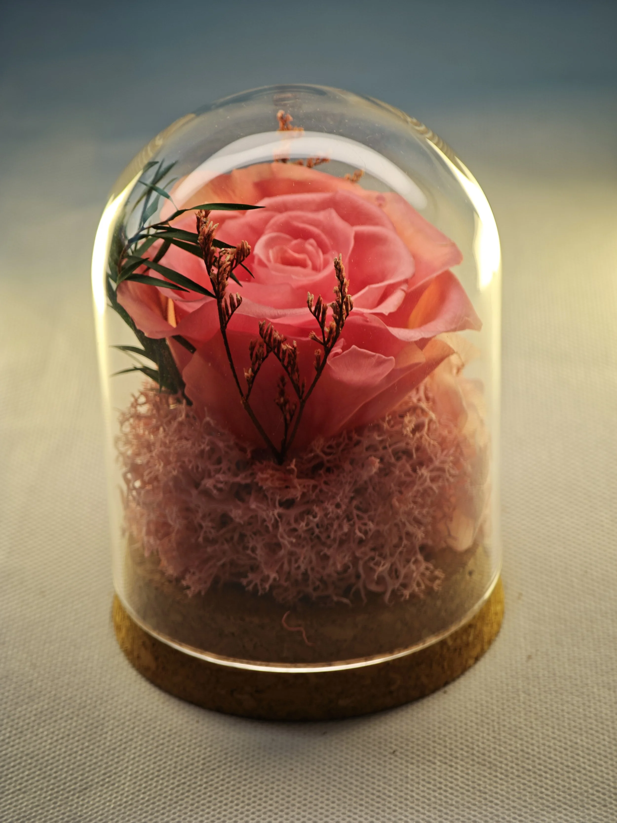 forever rose glass dome preserved flowers (5).jpg