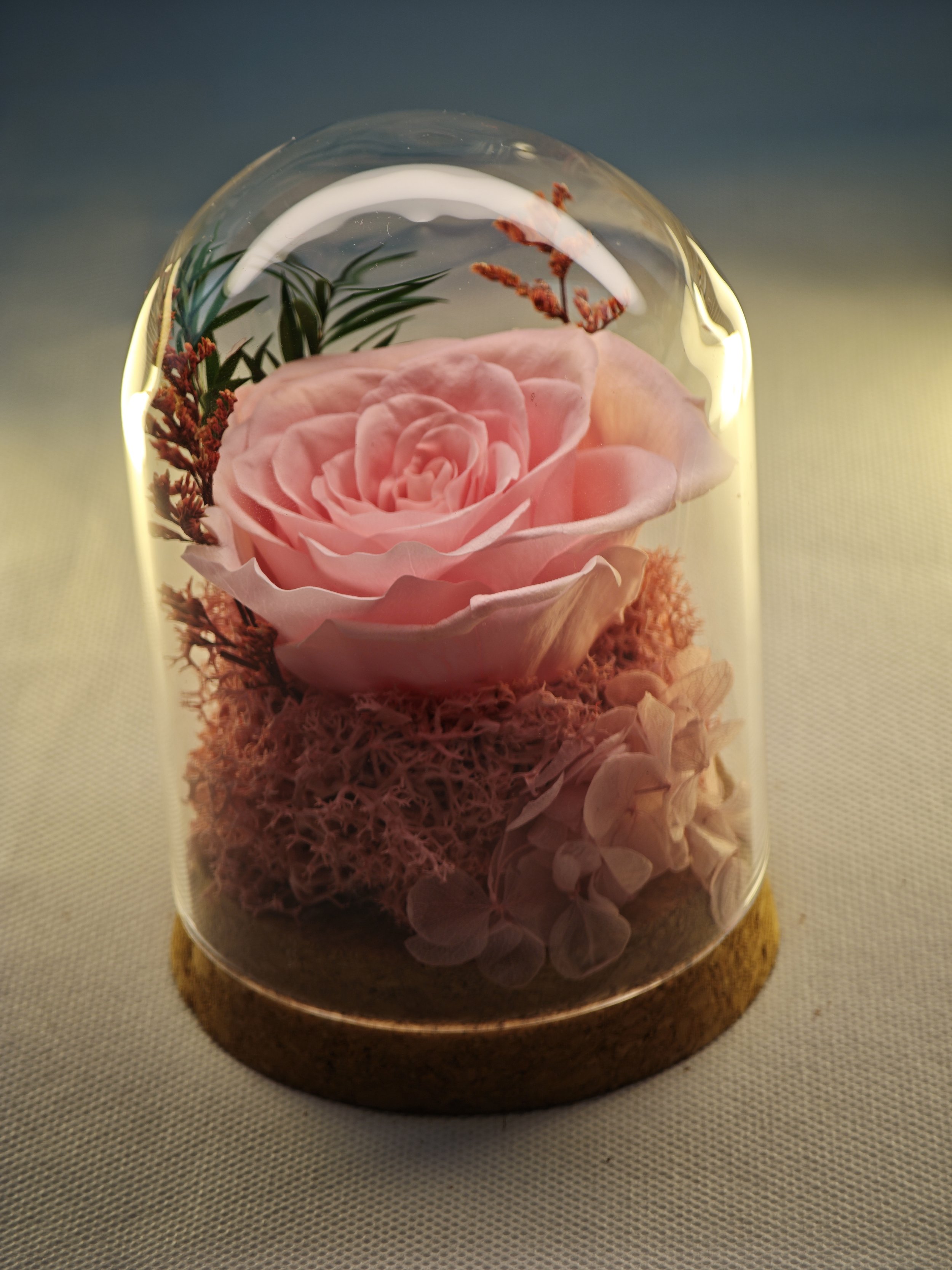 forever rose glass dome preserved flowers (2).jpg