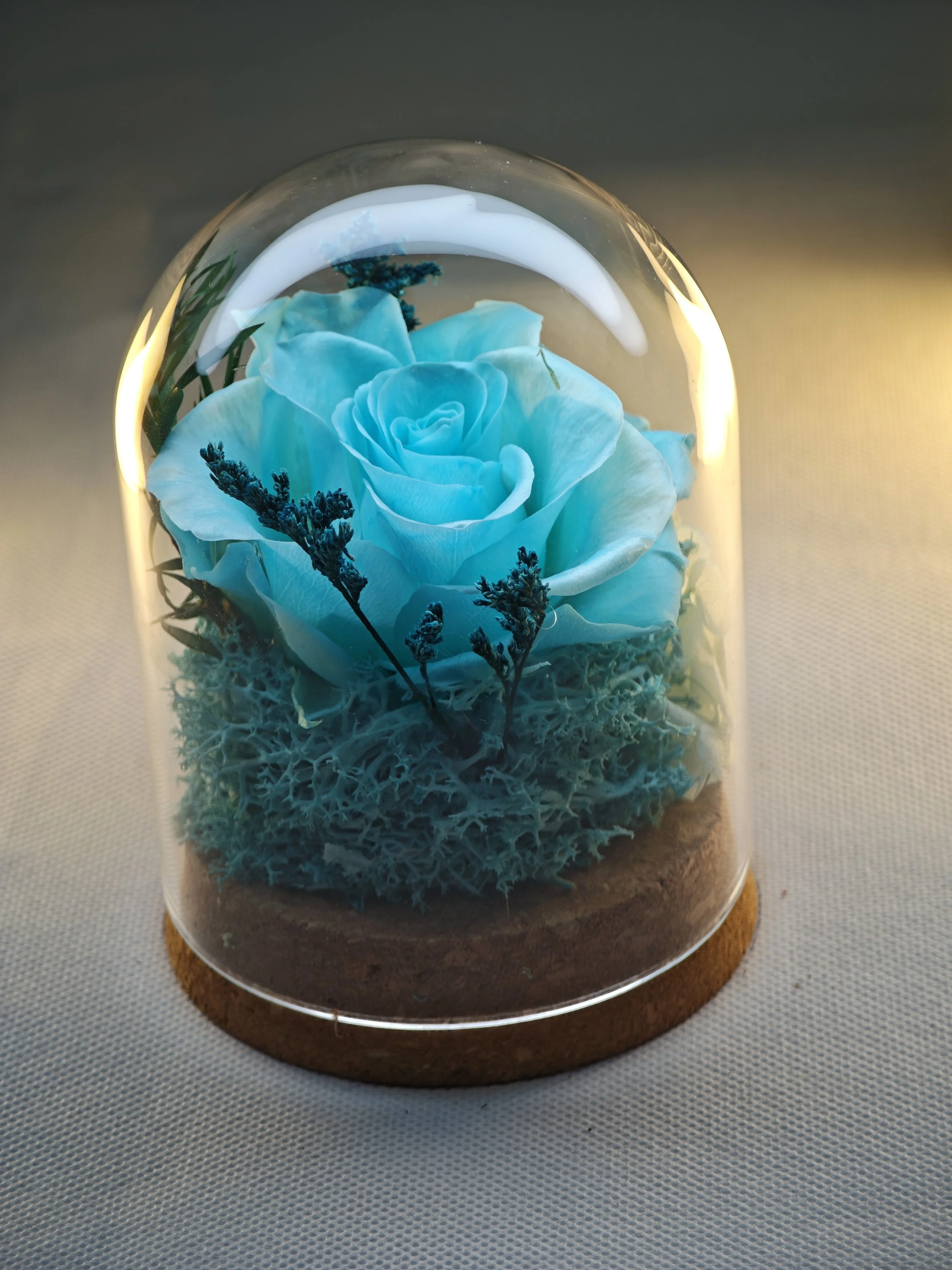 forever rose glass dome preserved flowers (37).jpg