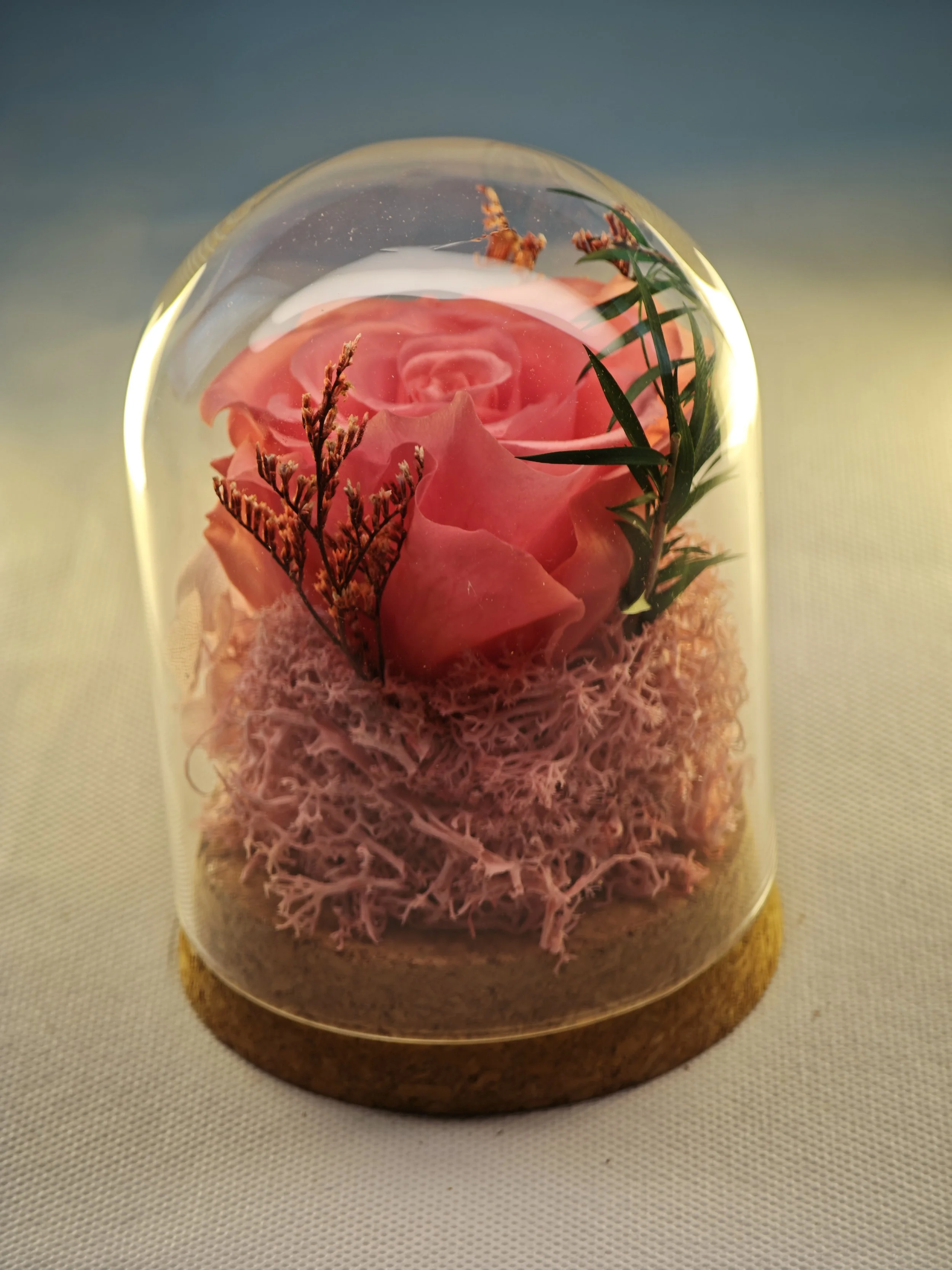 forever rose glass dome preserved flowers (4).jpg