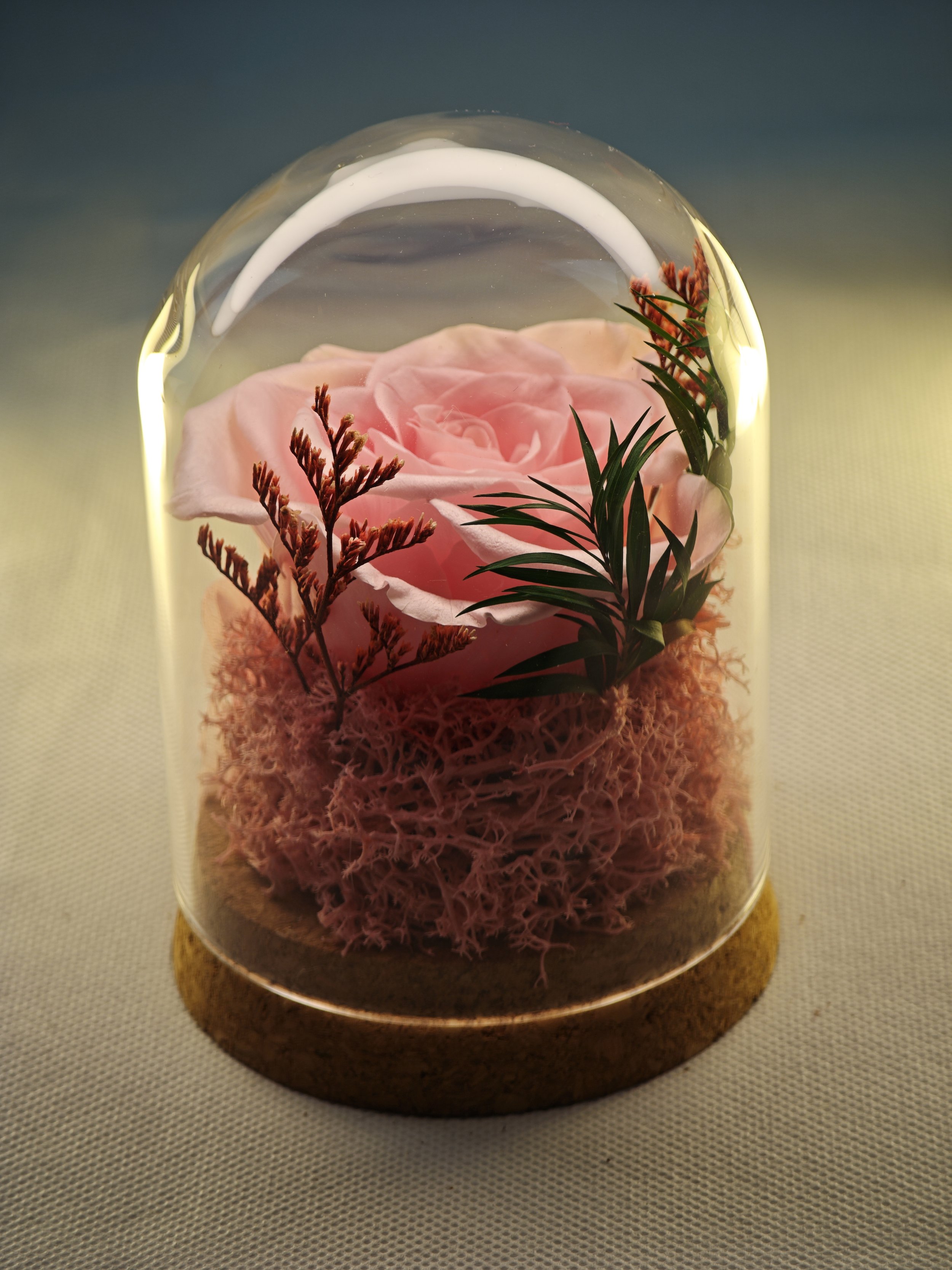 forever rose glass dome preserved flowers (1).jpg
