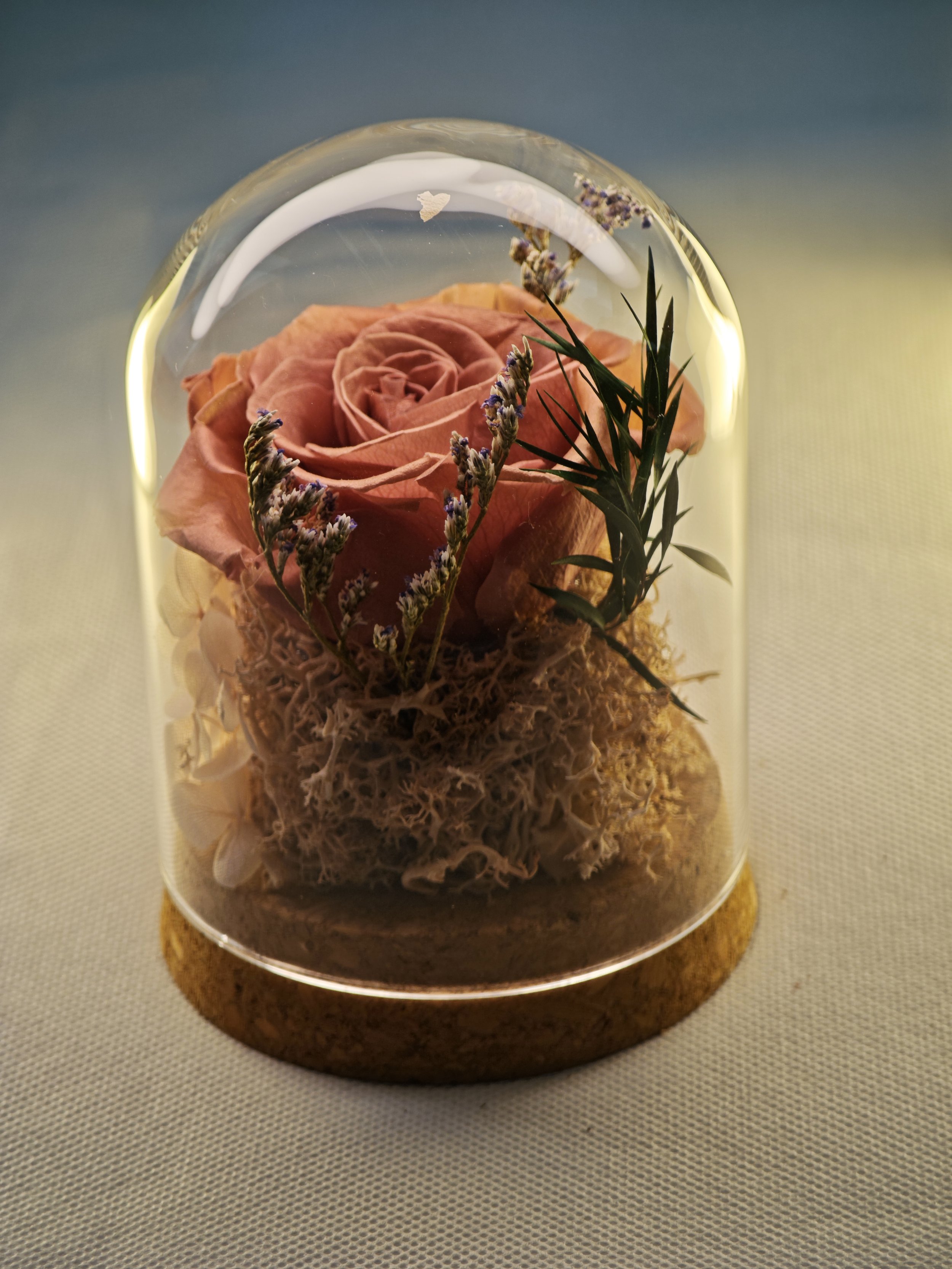 forever rose glass dome preserved flowers (43).jpg
