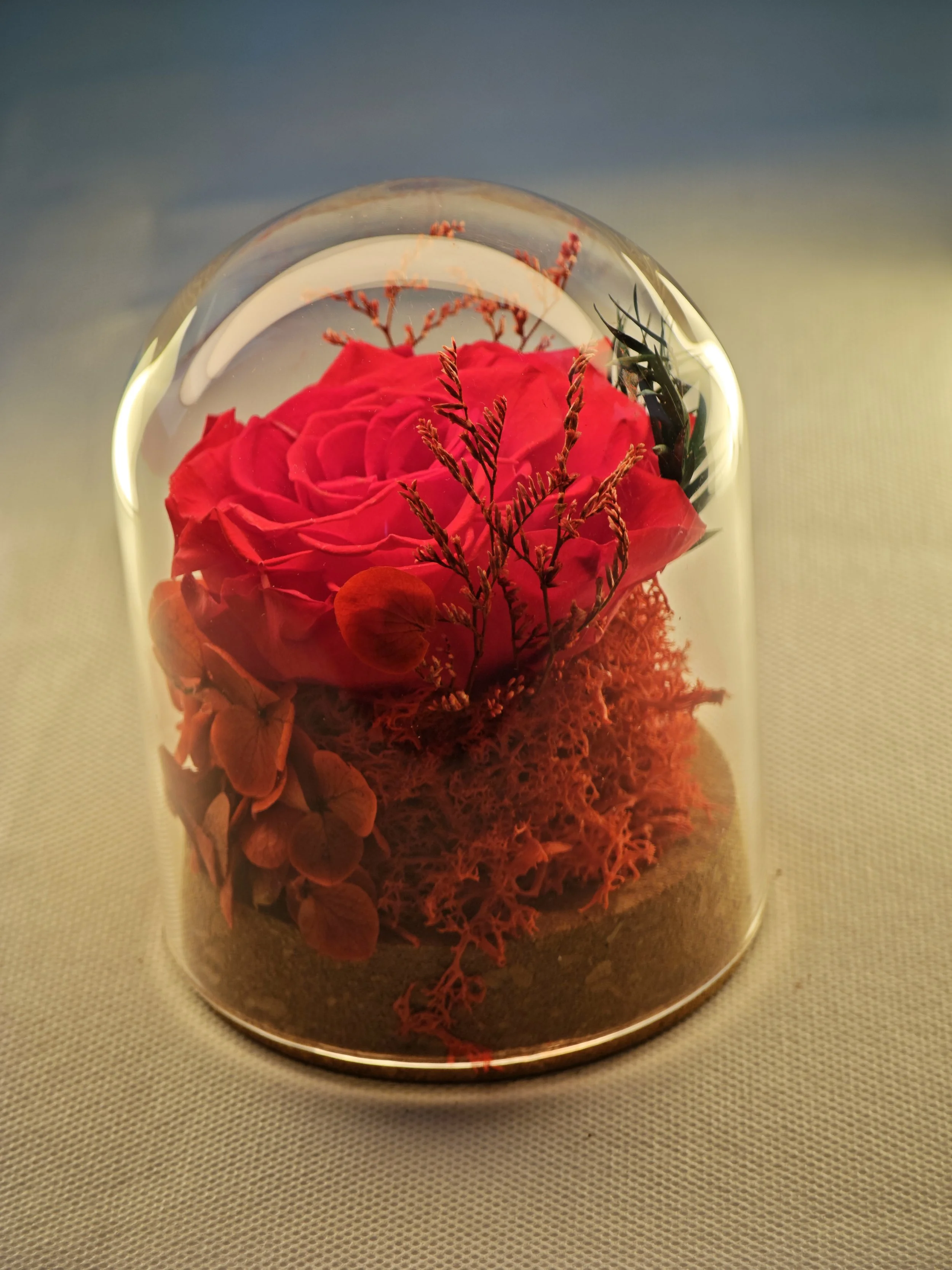 forever rose glass dome preserved flowers (22).jpg
