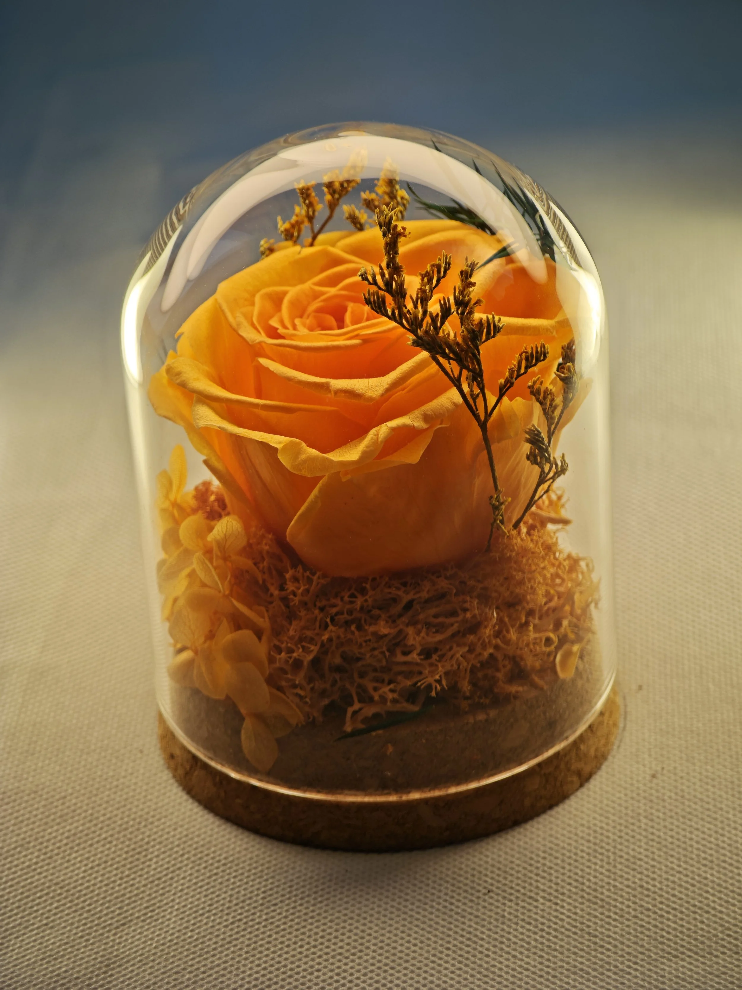 forever rose glass dome preserved flowers (20).jpg