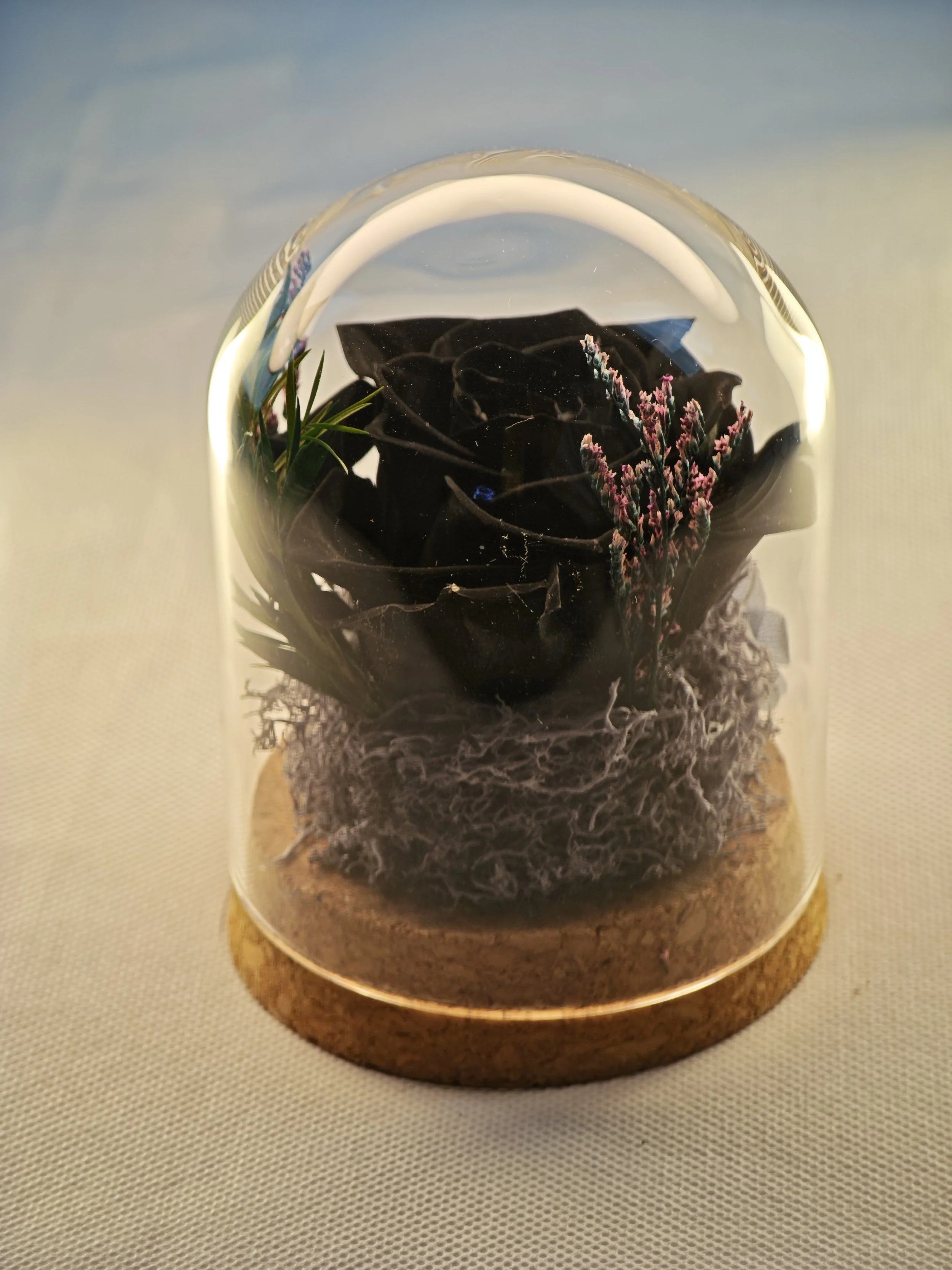 rose in glass dome everlasting romantic keepsake (6).jpg