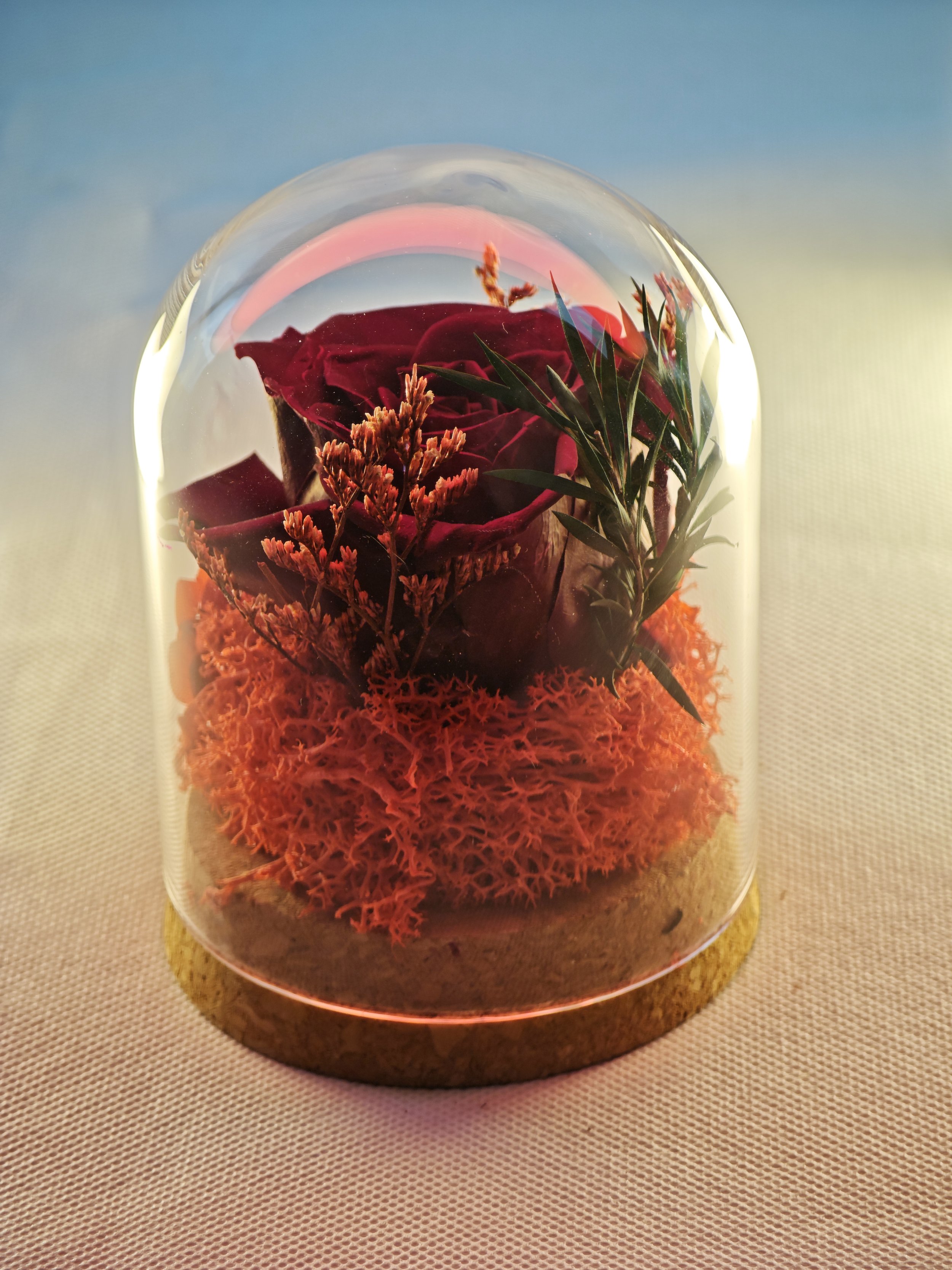 forever rose glass dome preserved flowers (41).jpg