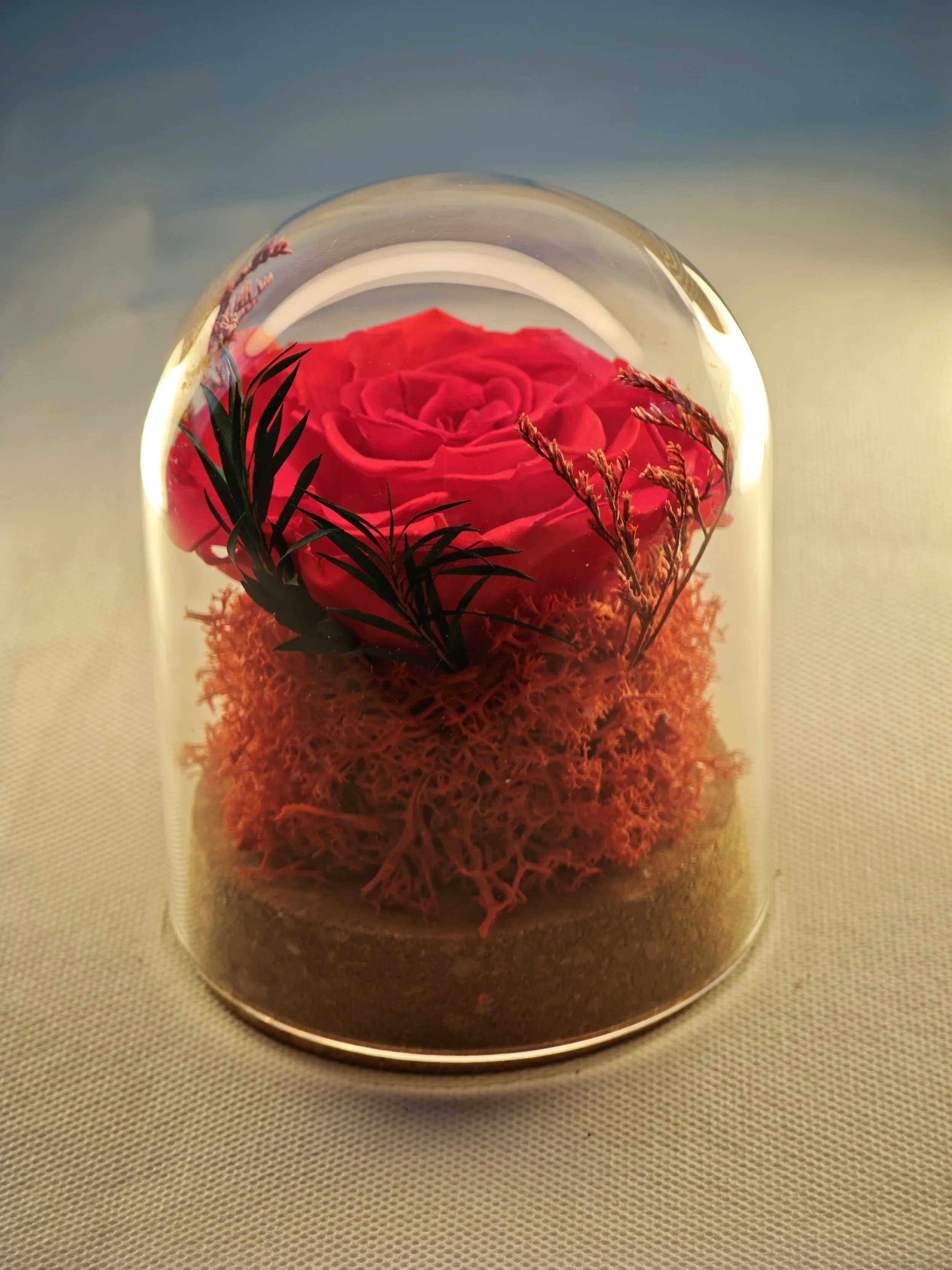 forever rose glass dome preserved flowers (23).jpg