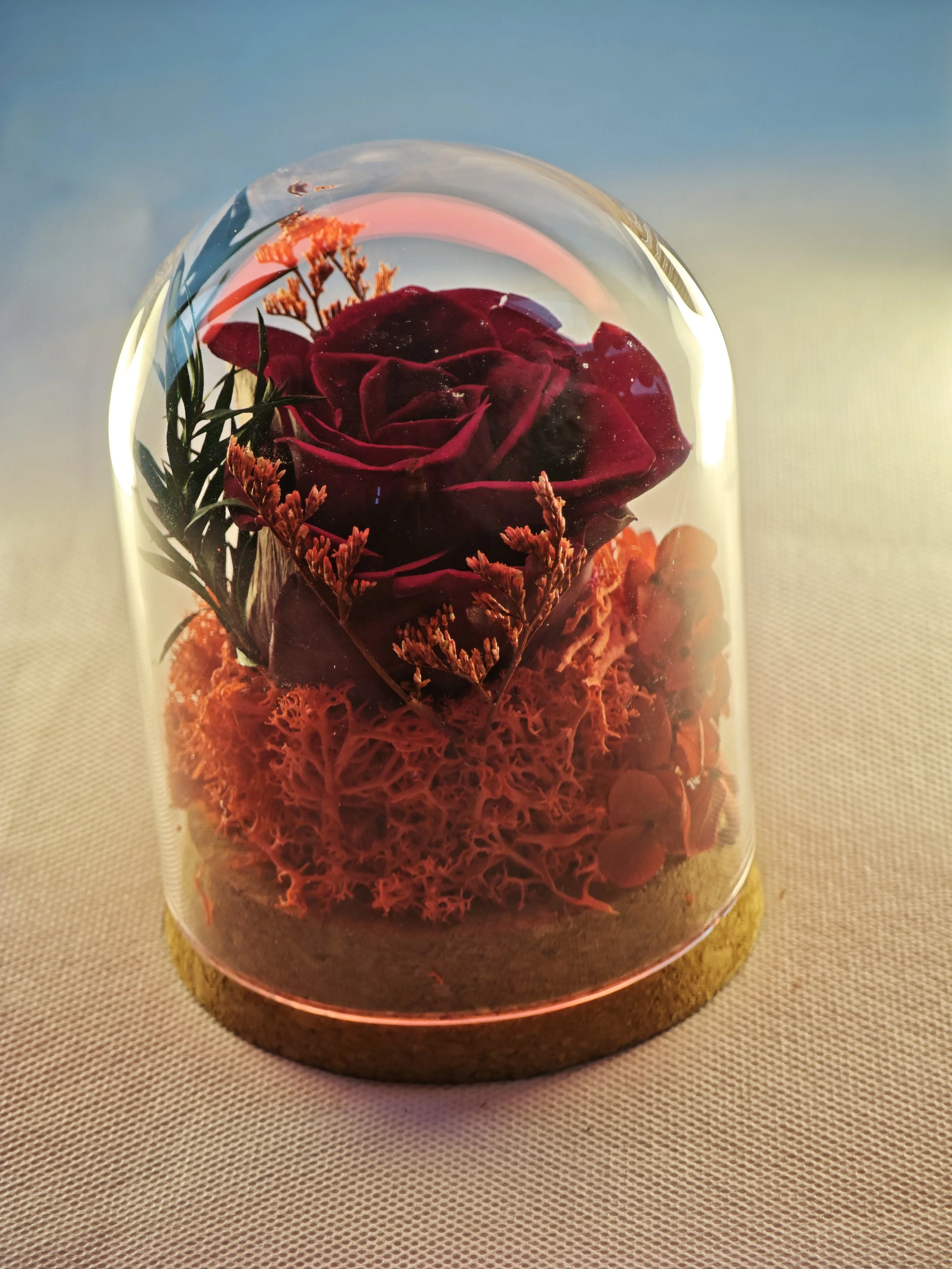 forever rose glass dome preserved flowers (40).jpg