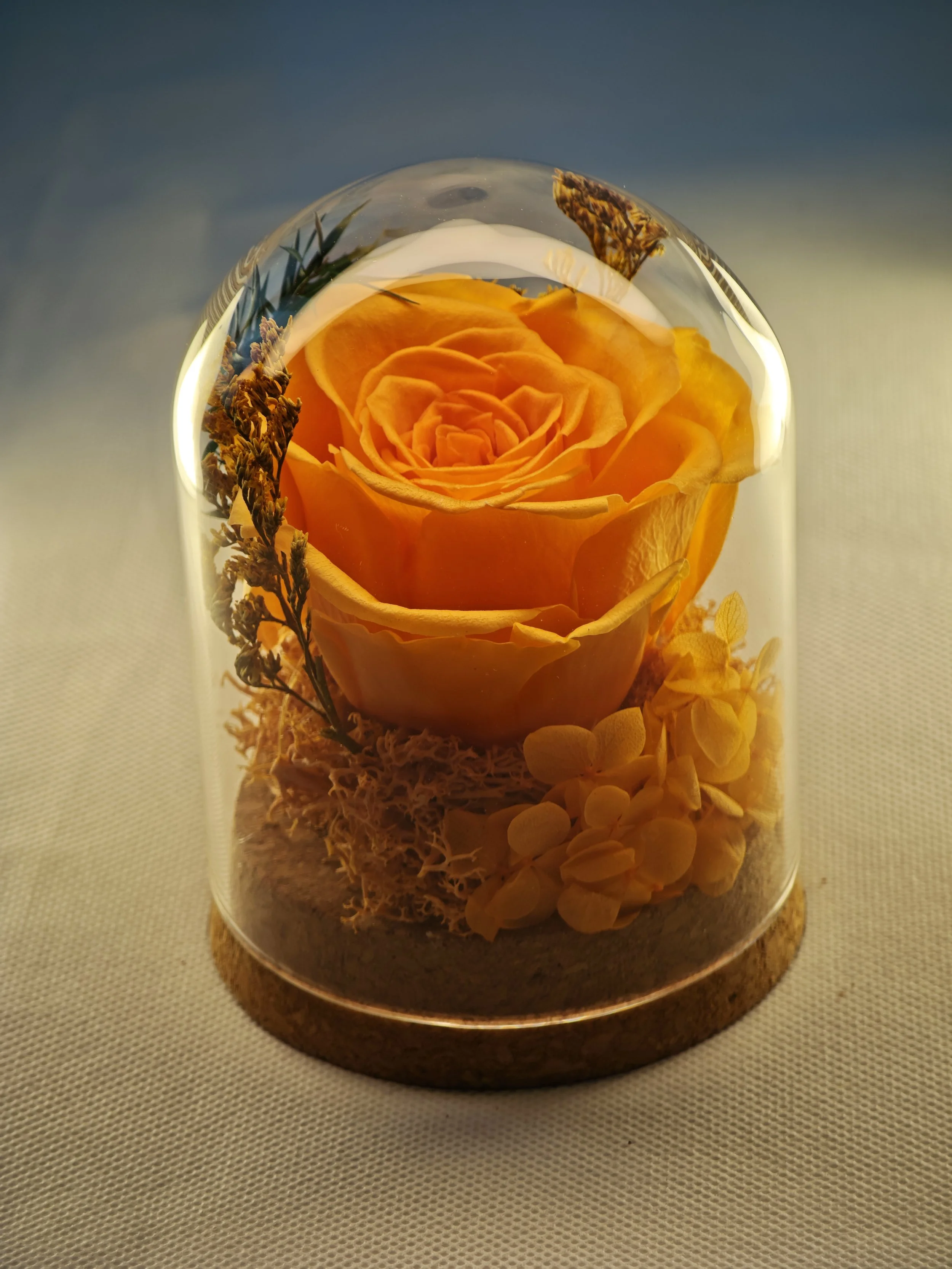 One Love Rose
